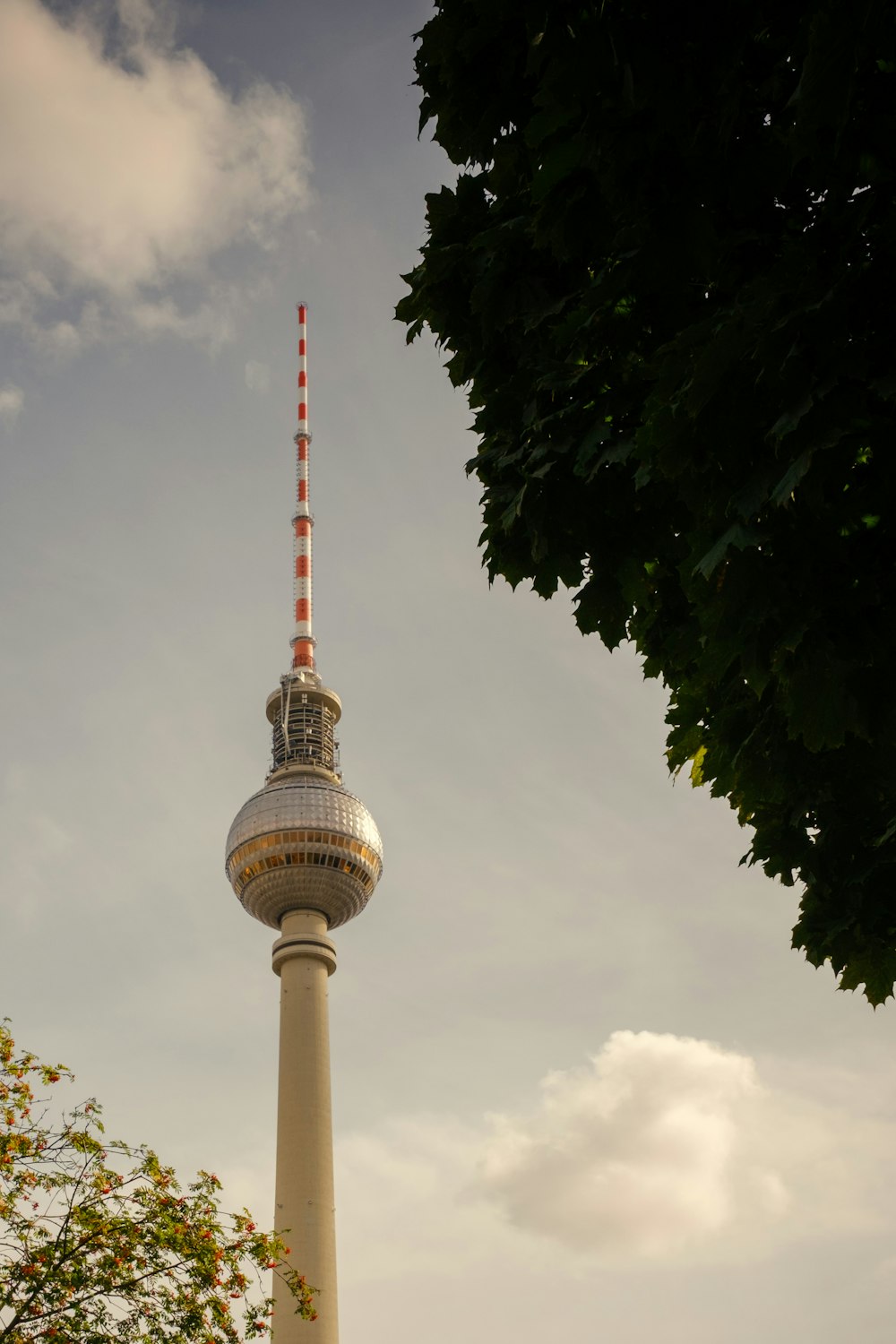 a tall tower with a tree in front of it