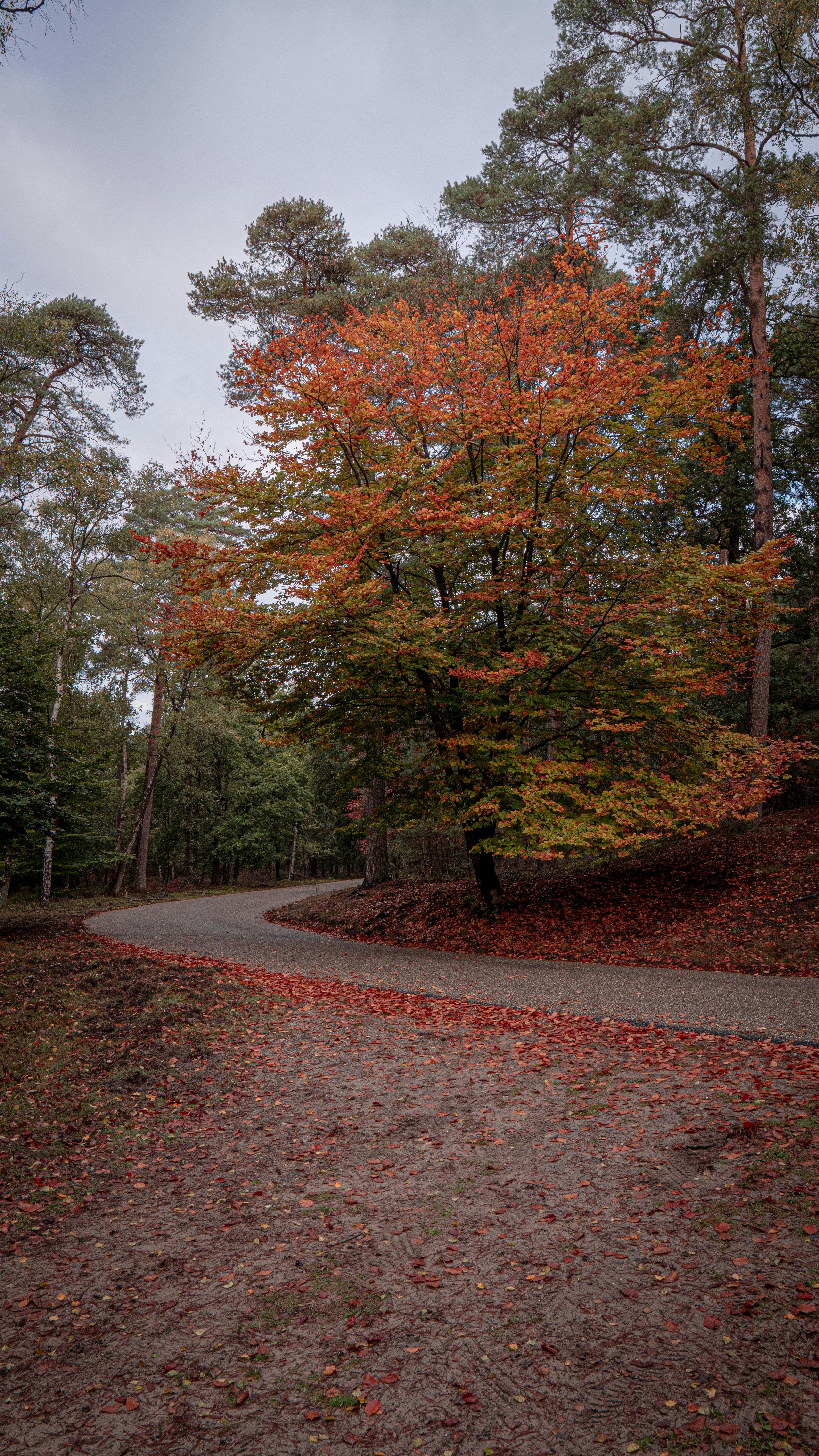 Photo by joeldevriend