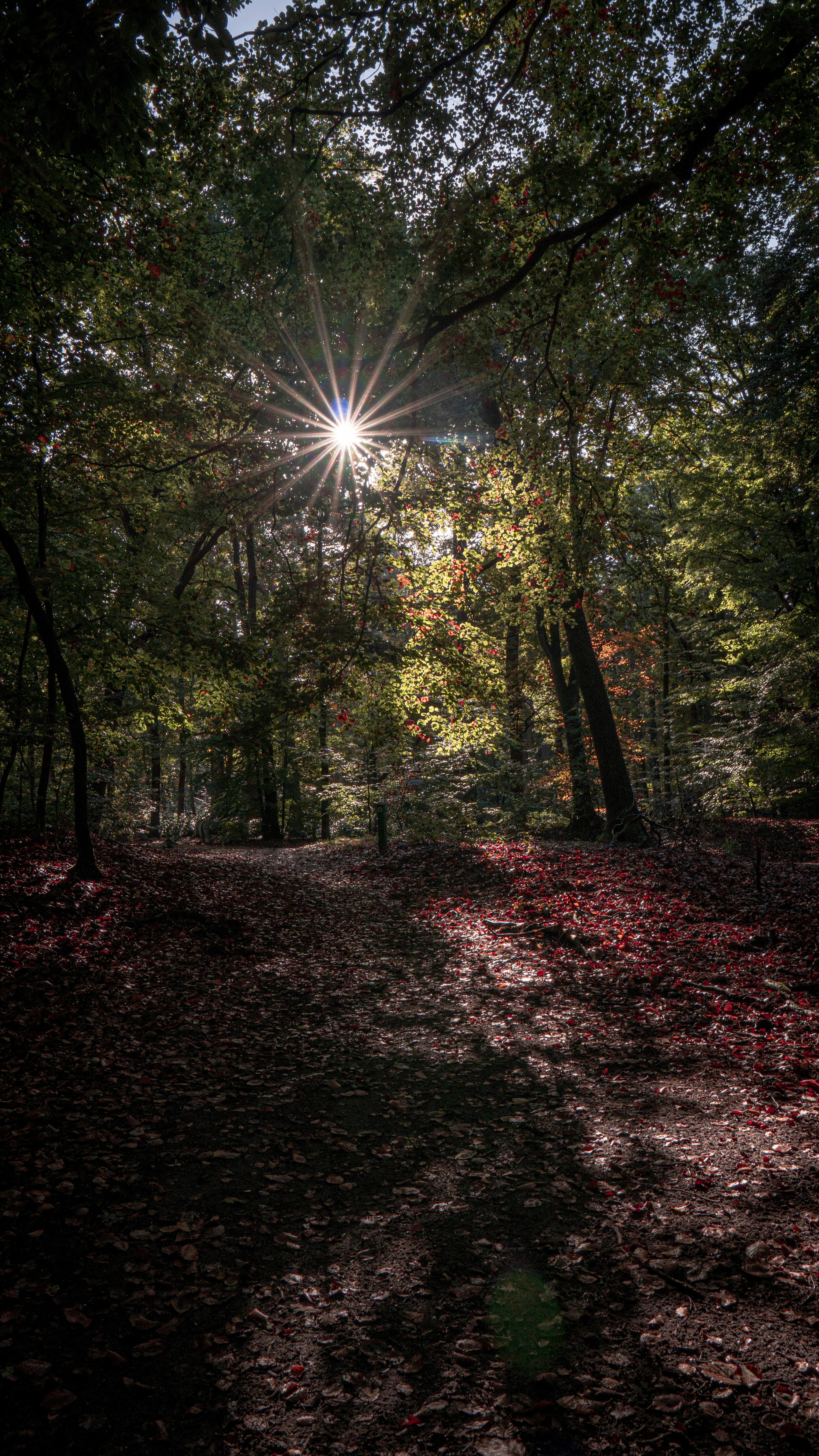 Photo by joeldevriend