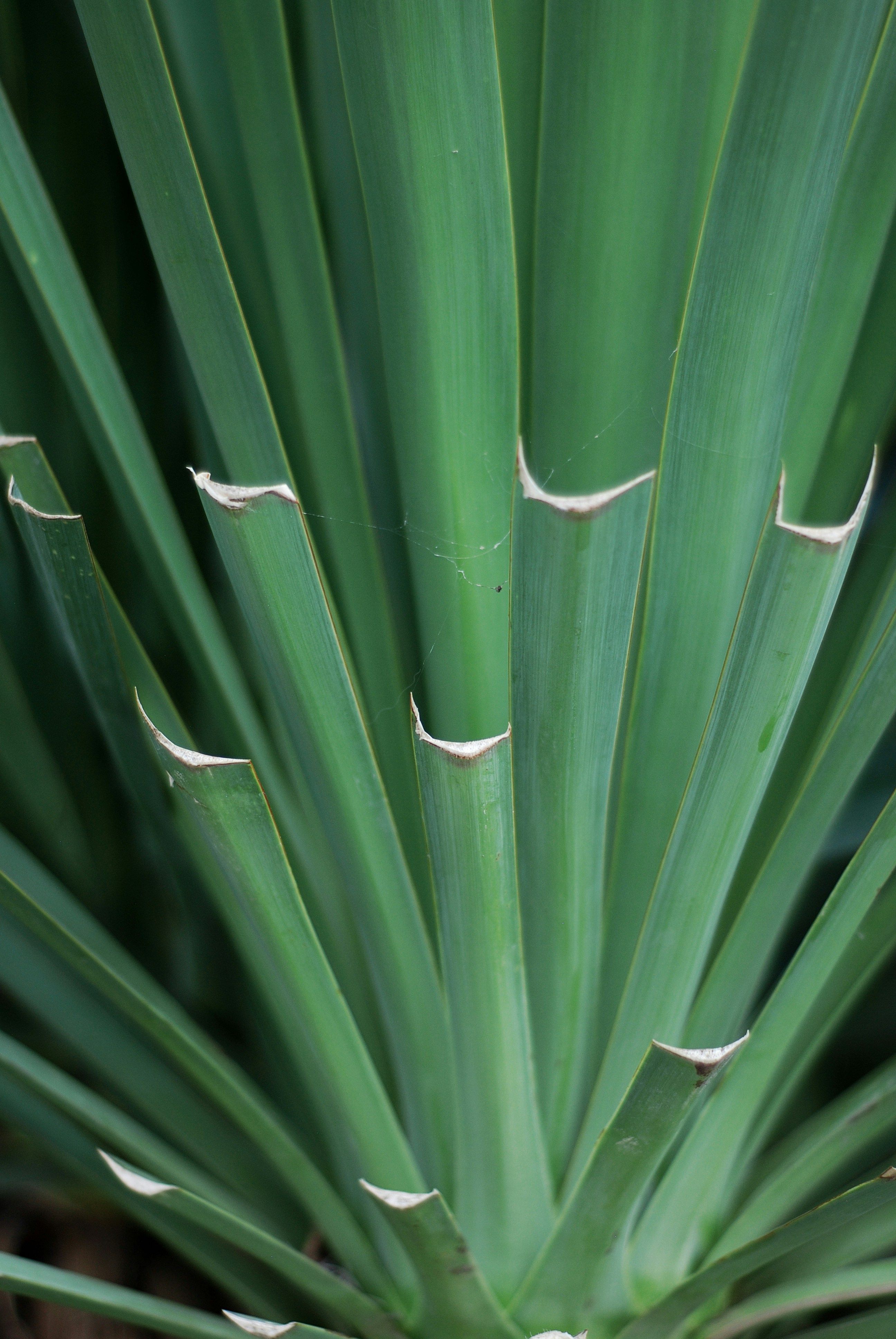 Photo by kovalskihelga