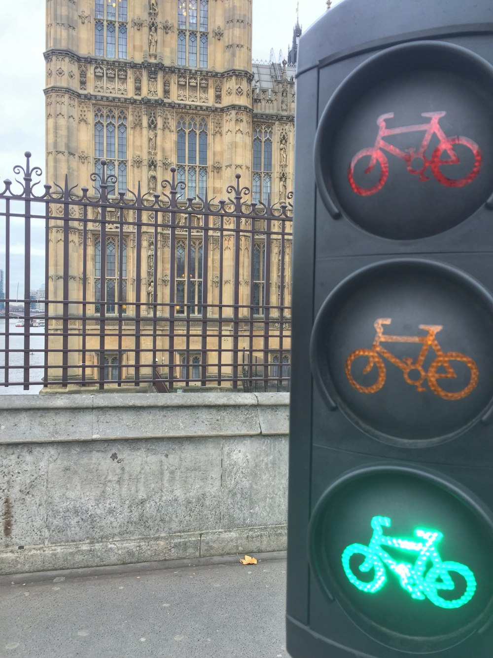 a traffic light has a bicycle symbol on it