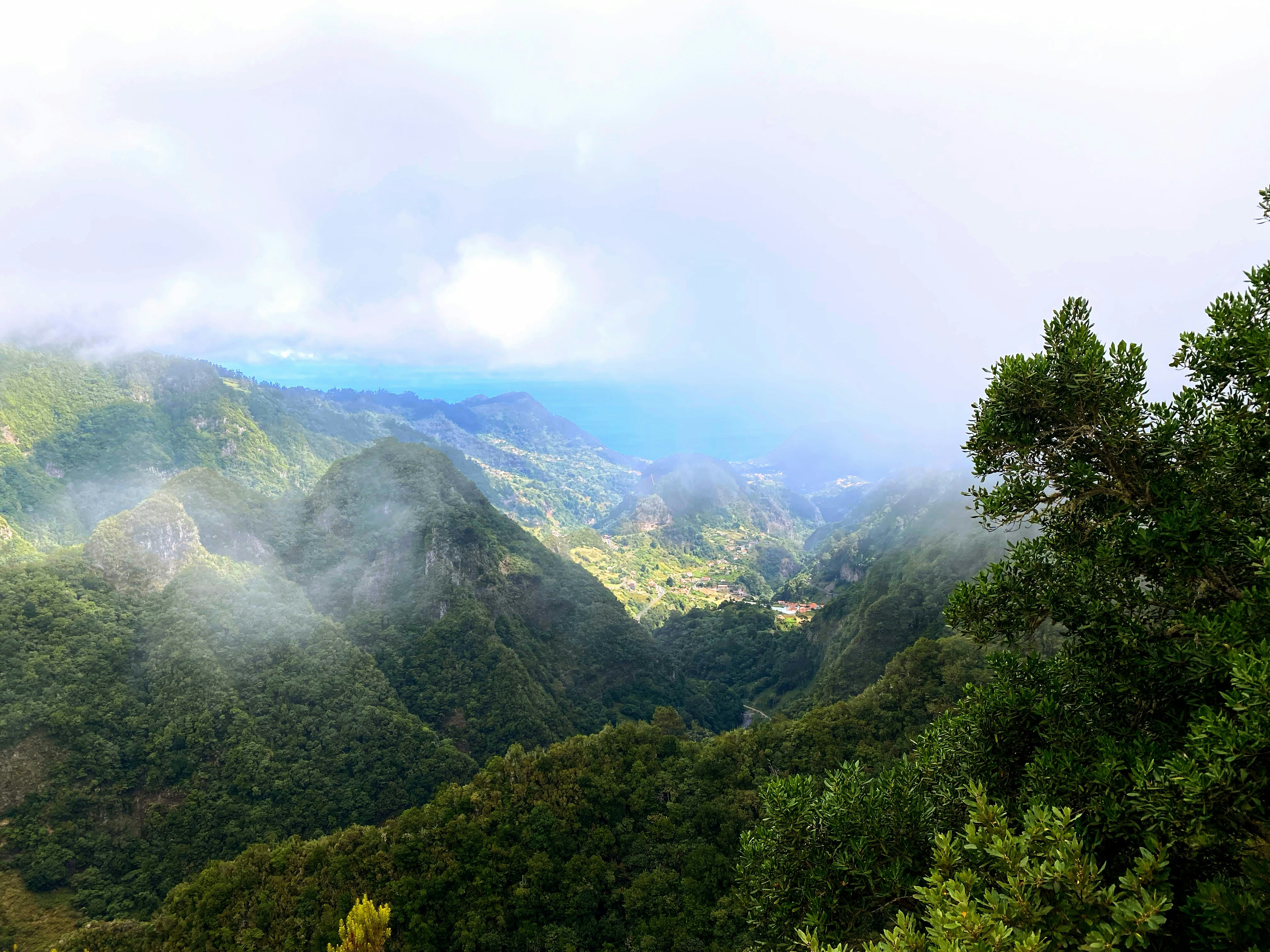 Photo by carlamjgomes