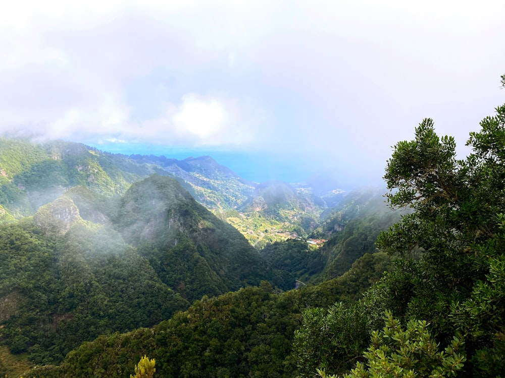 a valley with trees and mountains in the background