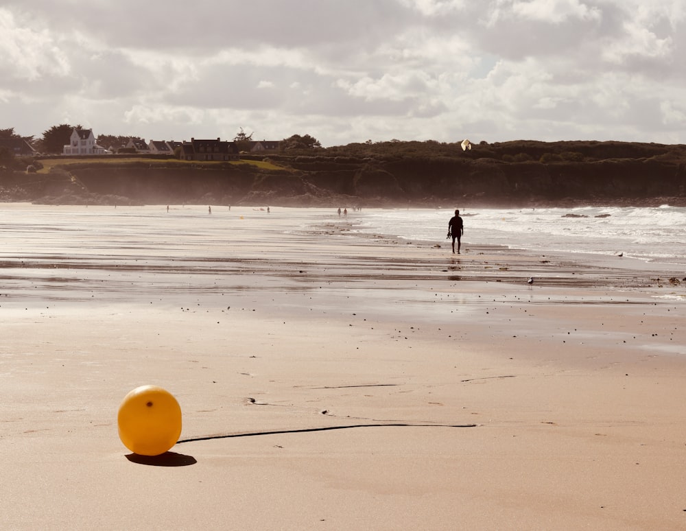 a person standing on a beach