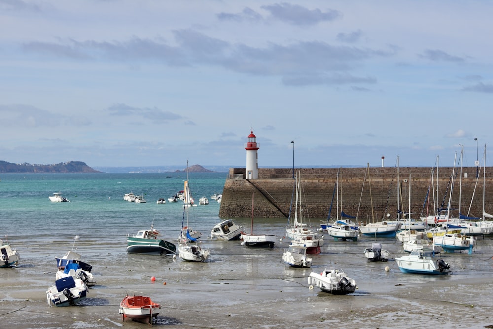 a group of boats sit in a harbor