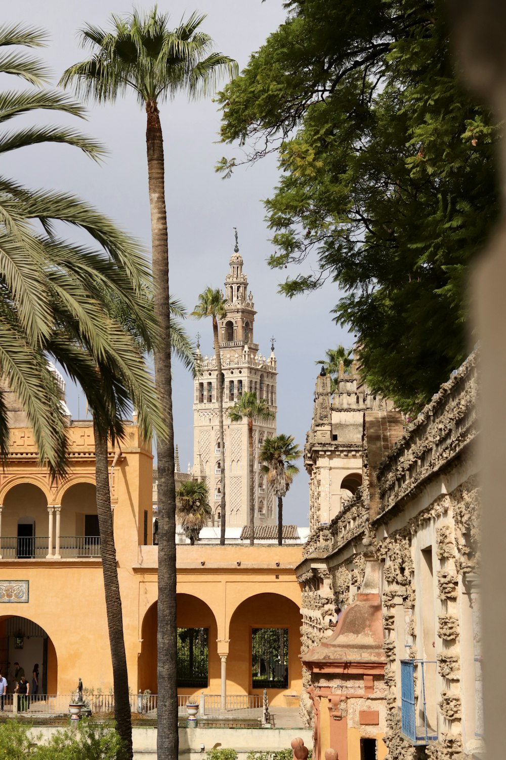 a building with palm trees