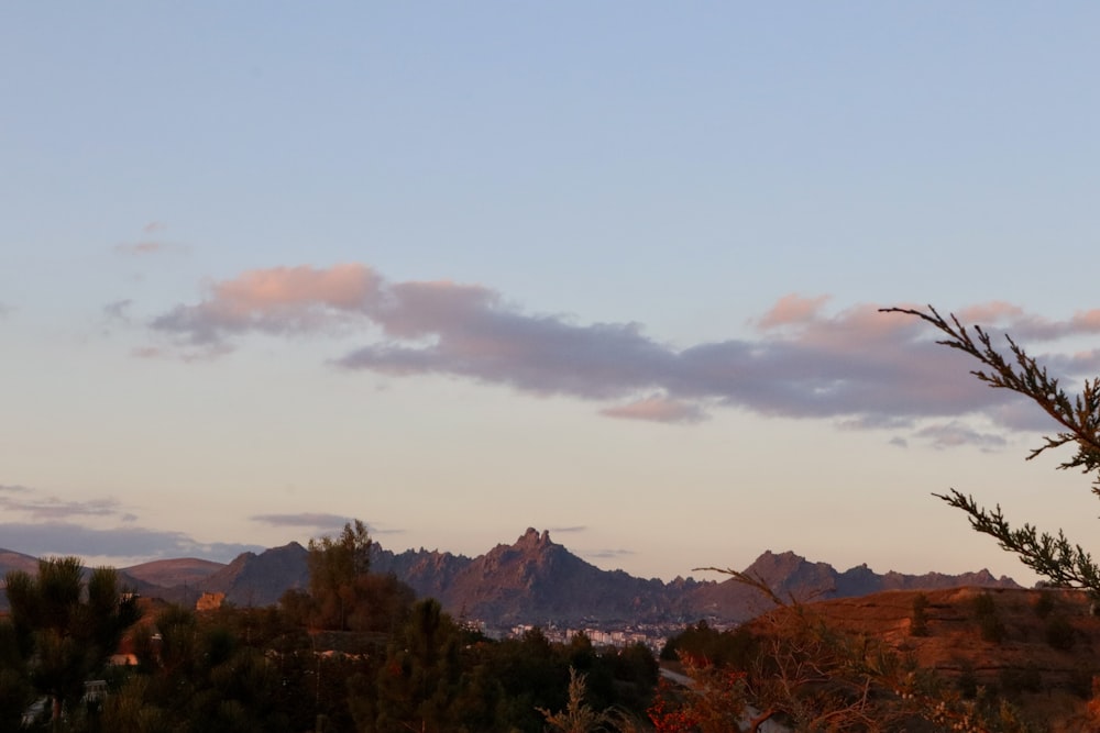 a landscape with trees and mountains in the background