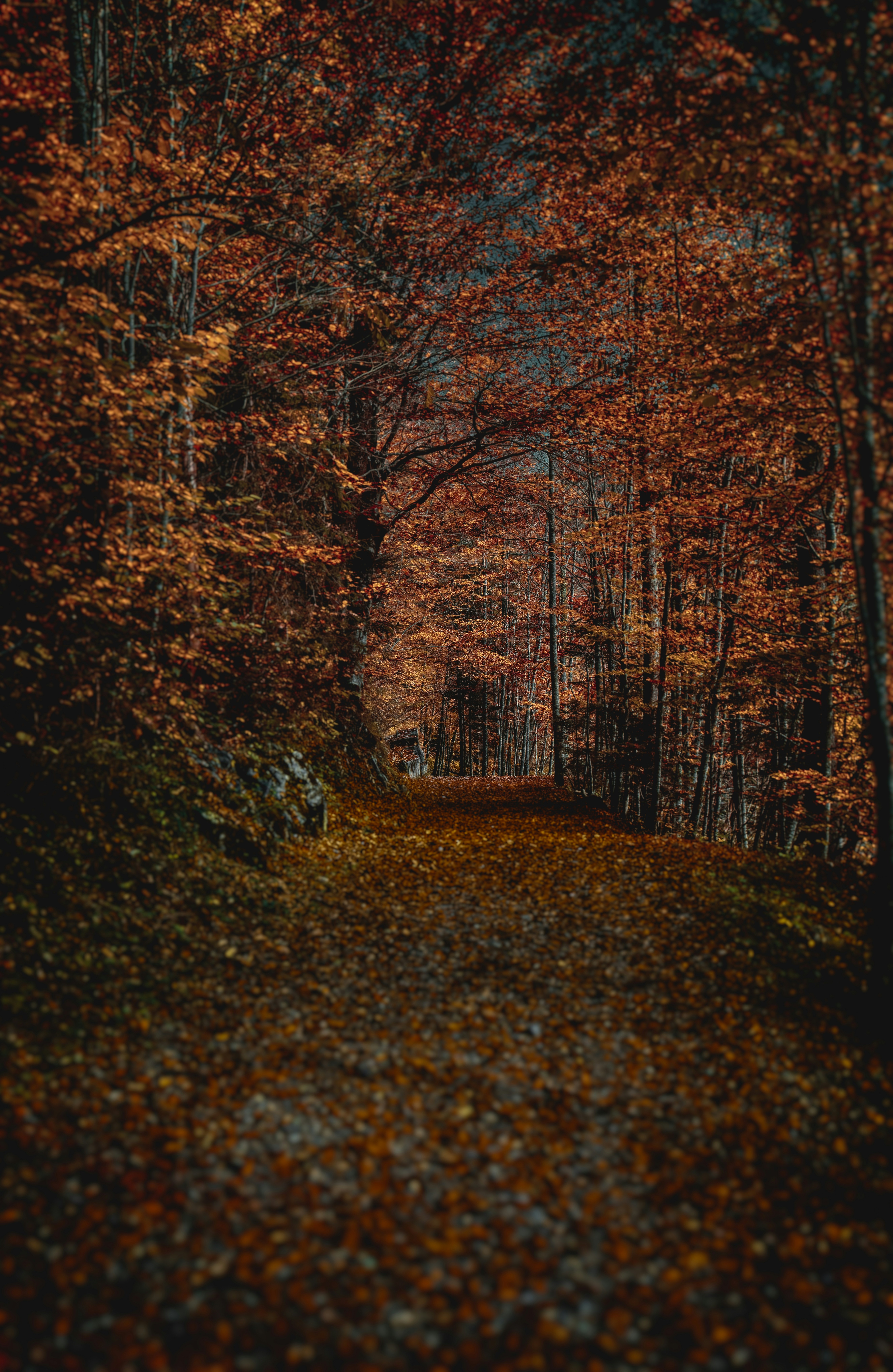 Photo by rgaleriacom