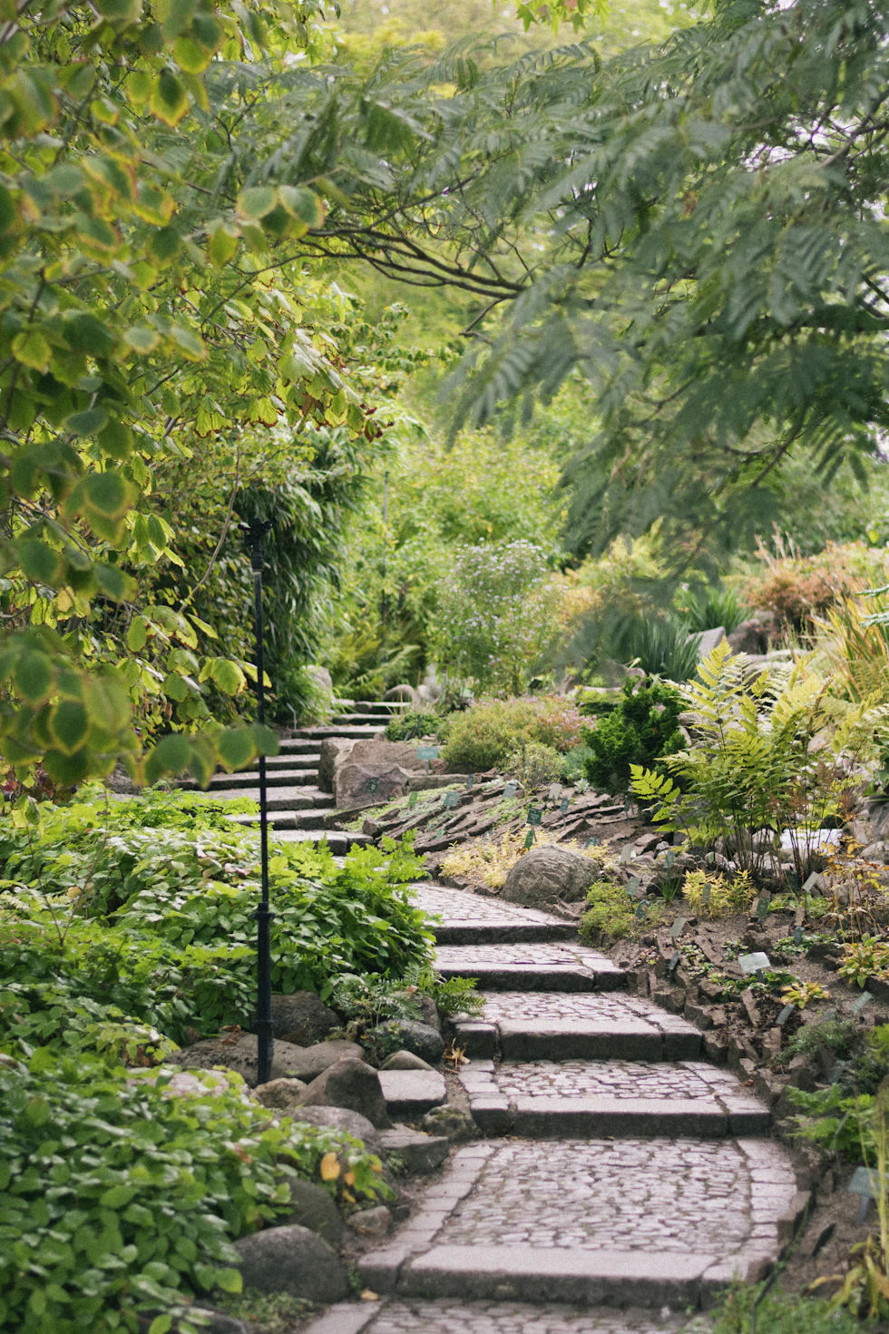 Illustrative outdoor garden pathway