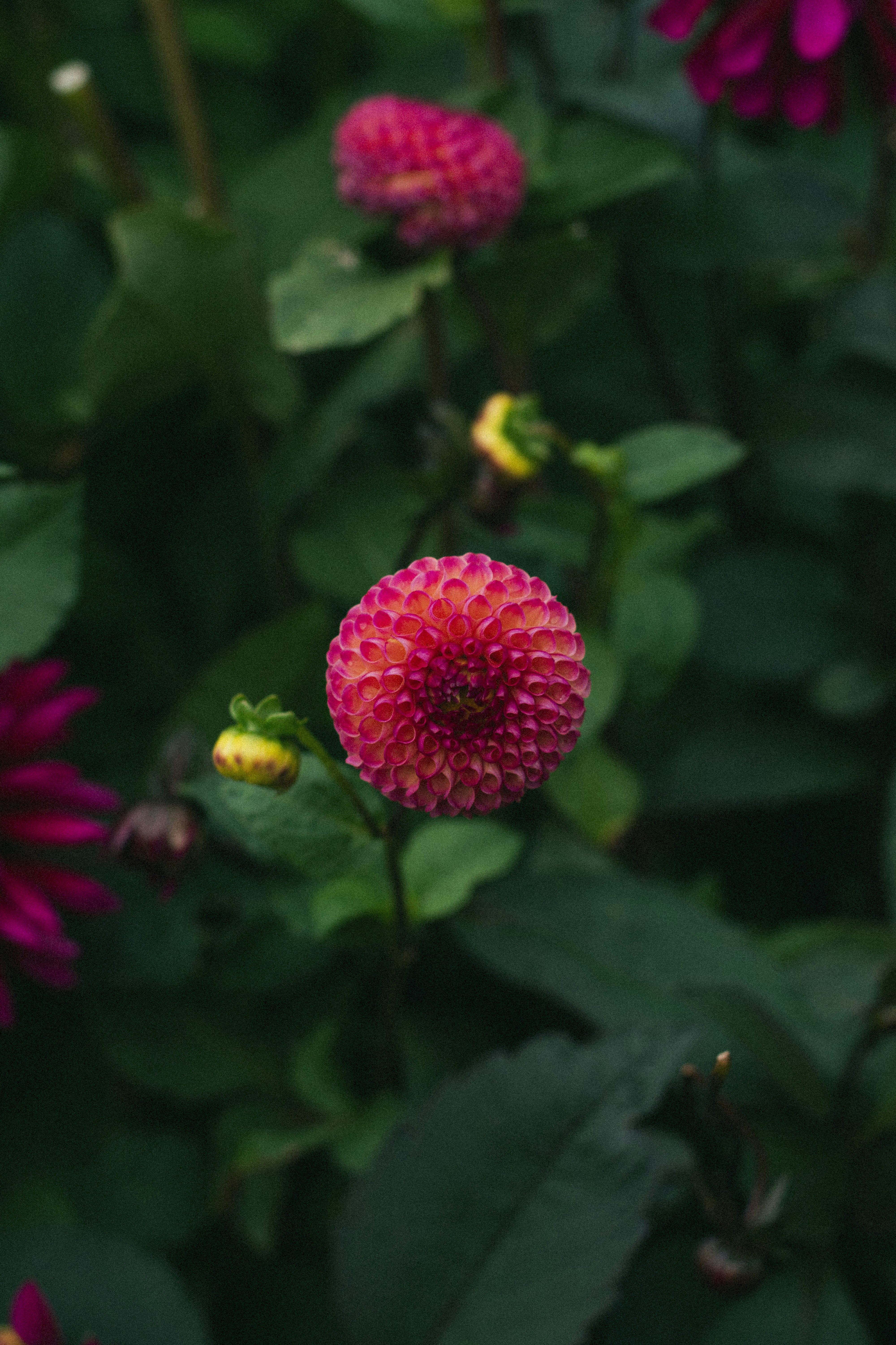 Photo by damiano_baschiera