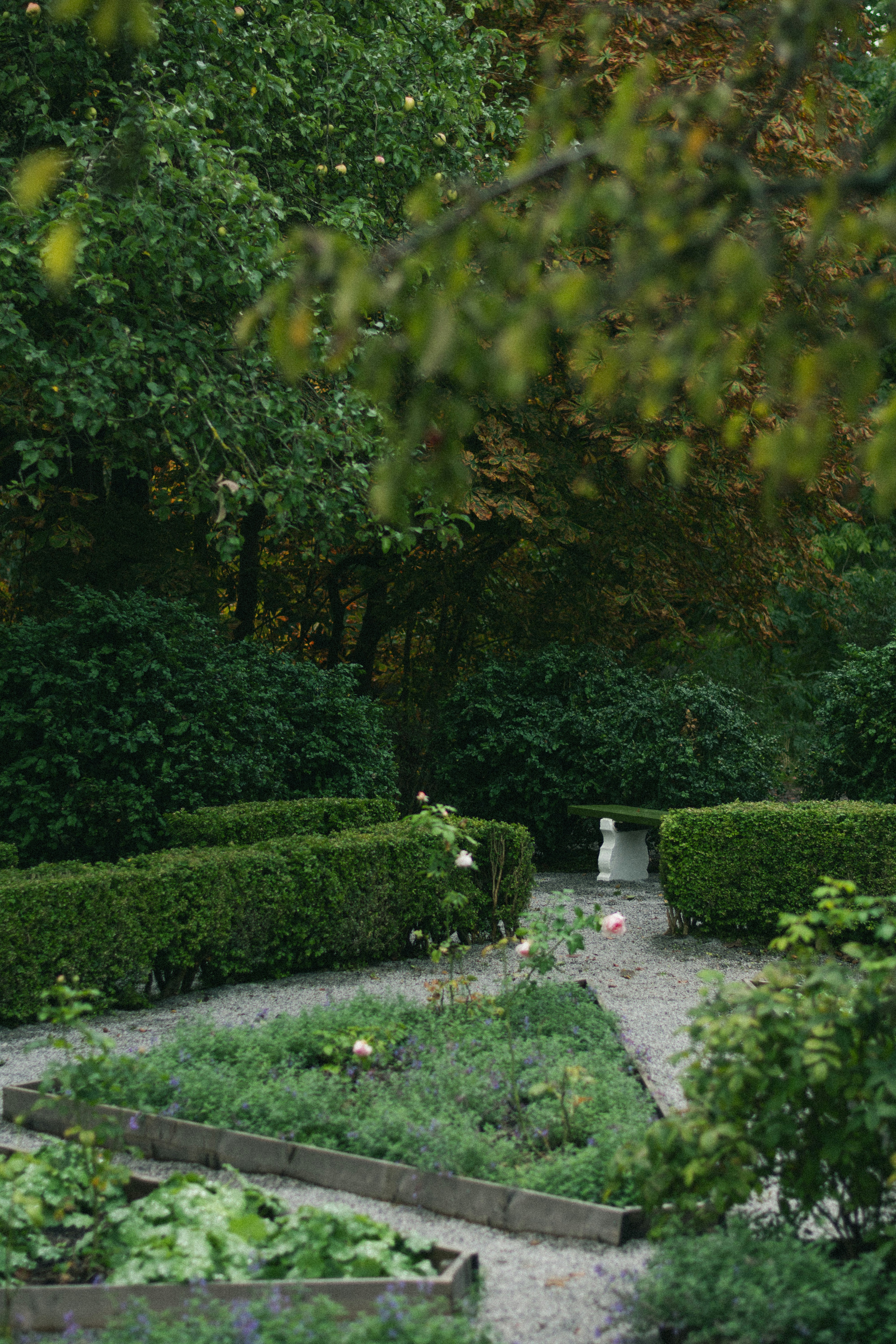 Photo by damiano_baschiera