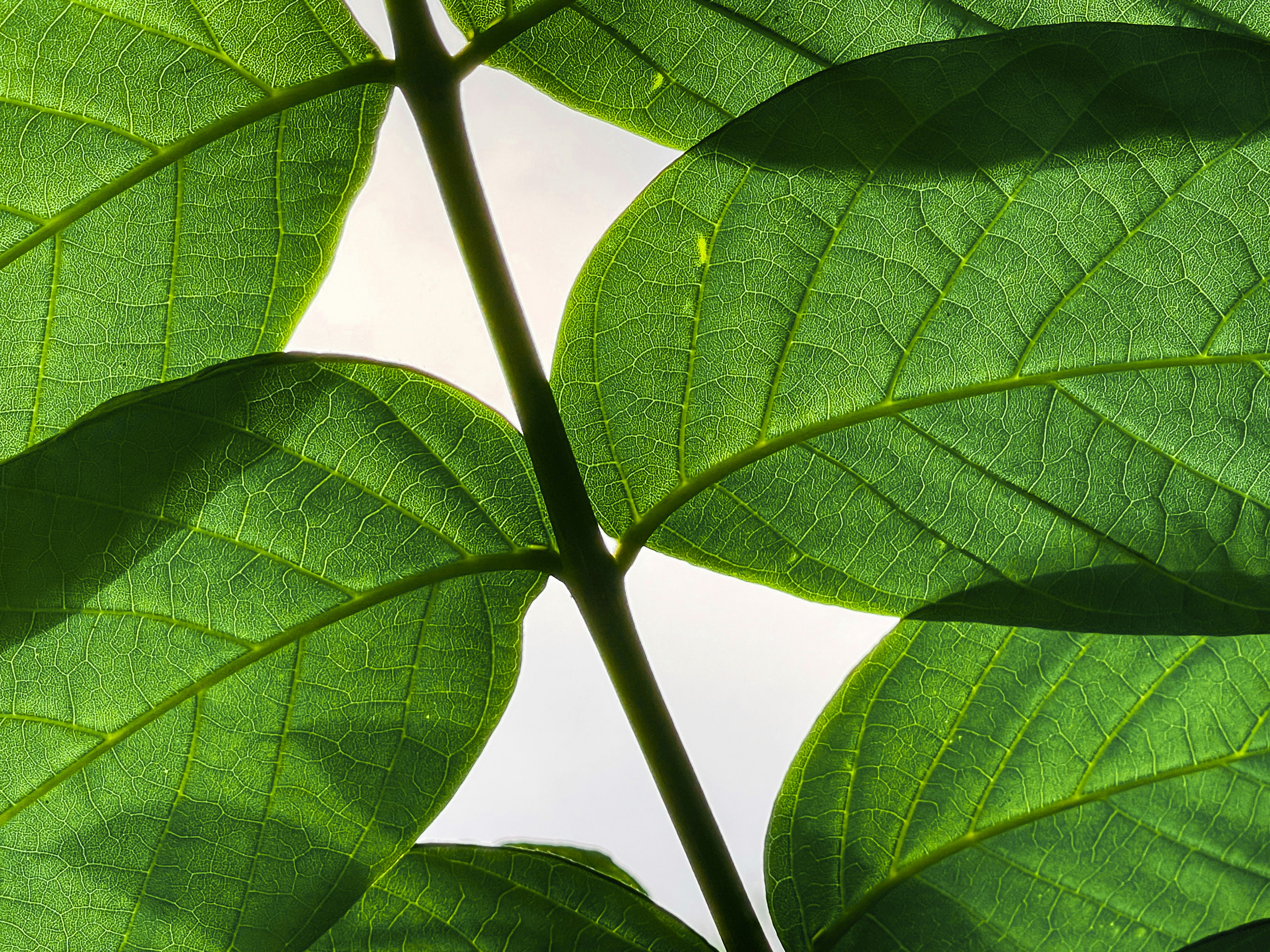 Photo by andallthings