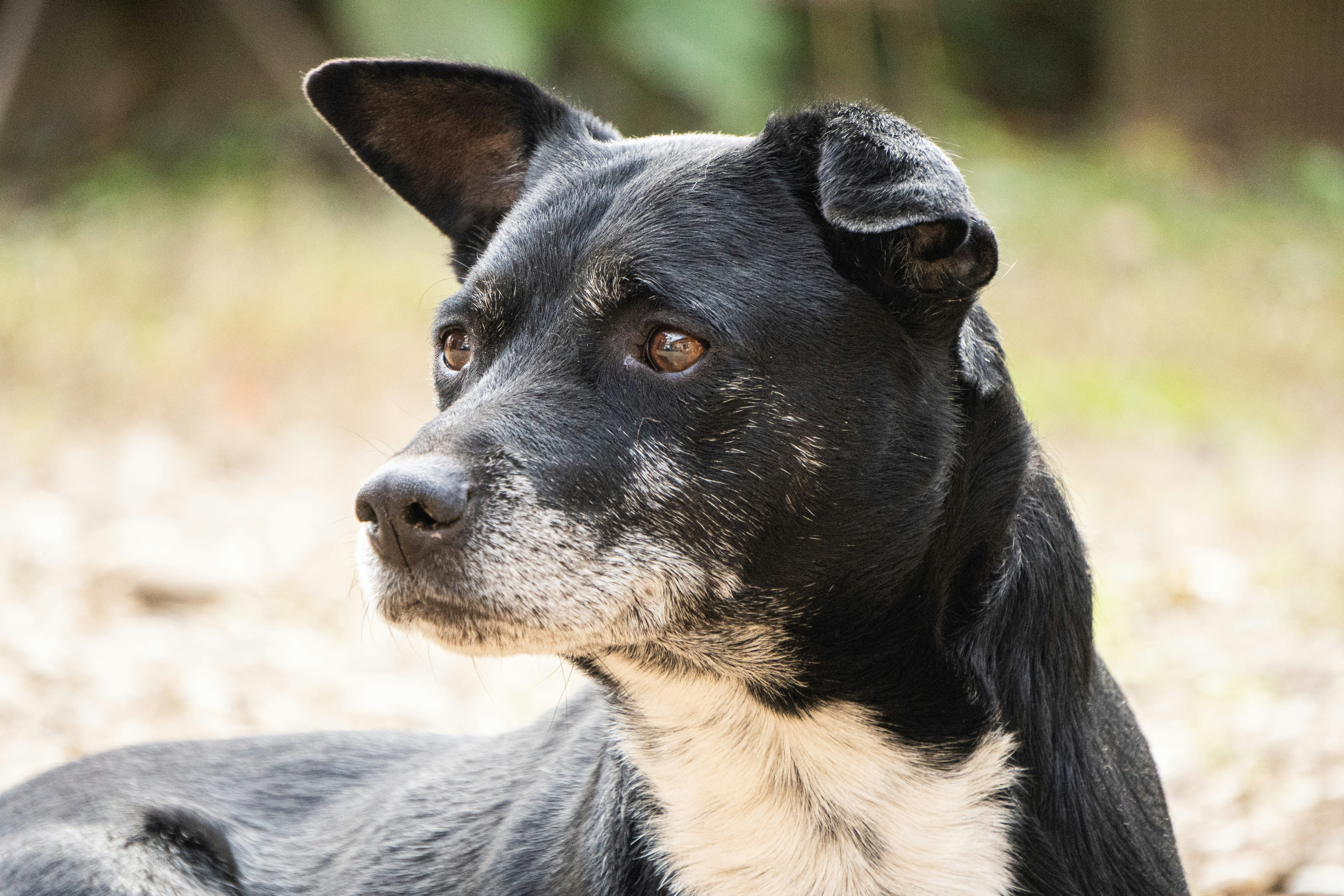 Photo by kat_von_wood