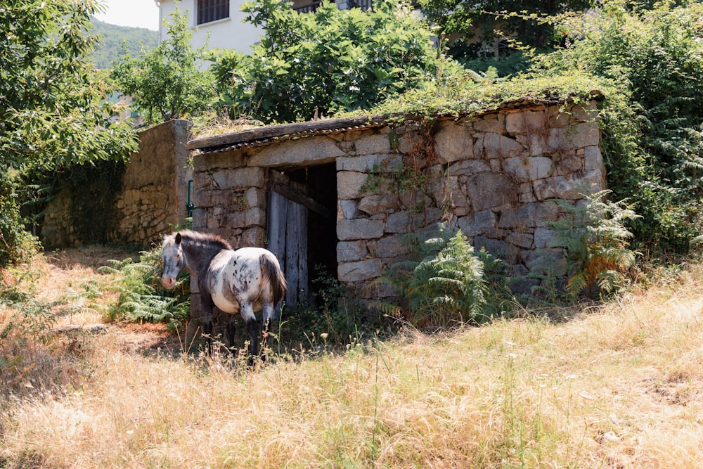 a horse standing in front of a stone building