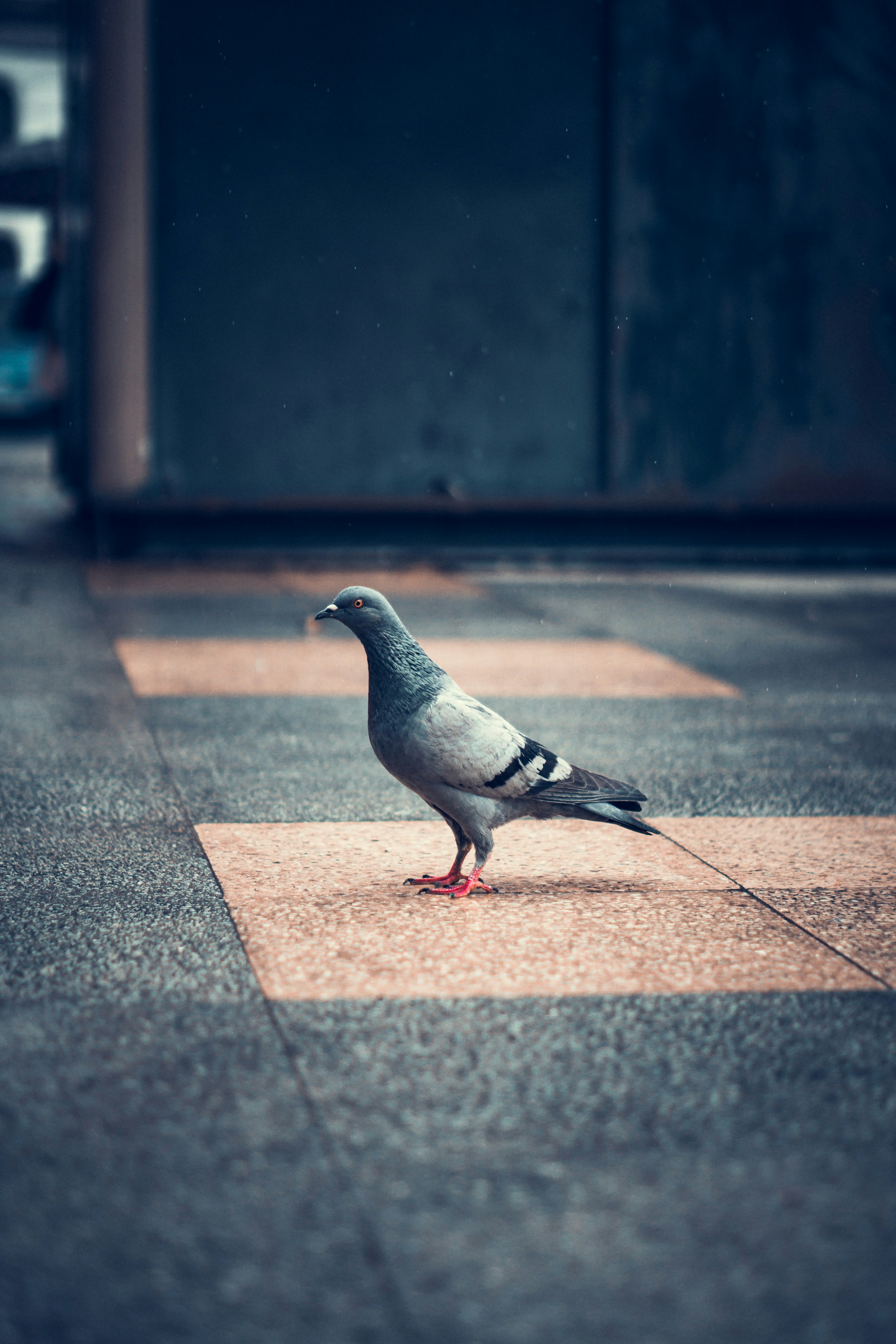 Photo by ayoubvision