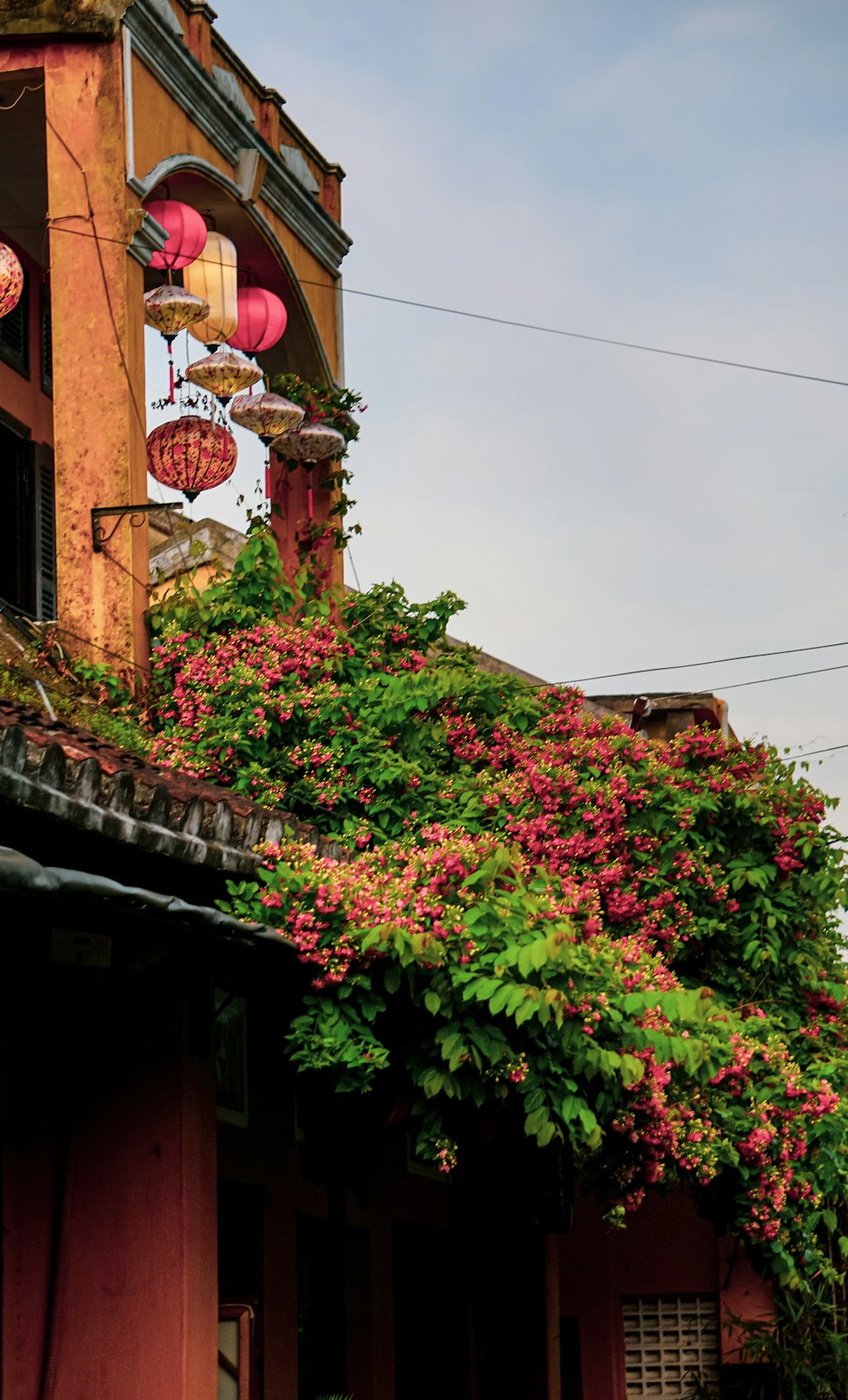 a tree with lanterns from it