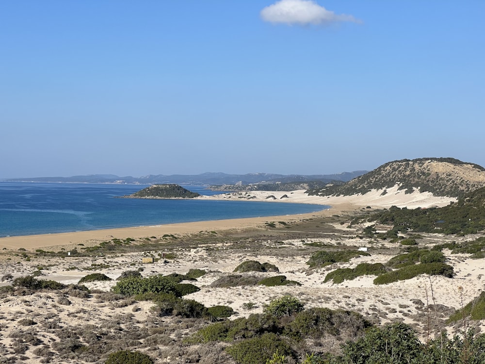 a beach with a body of water