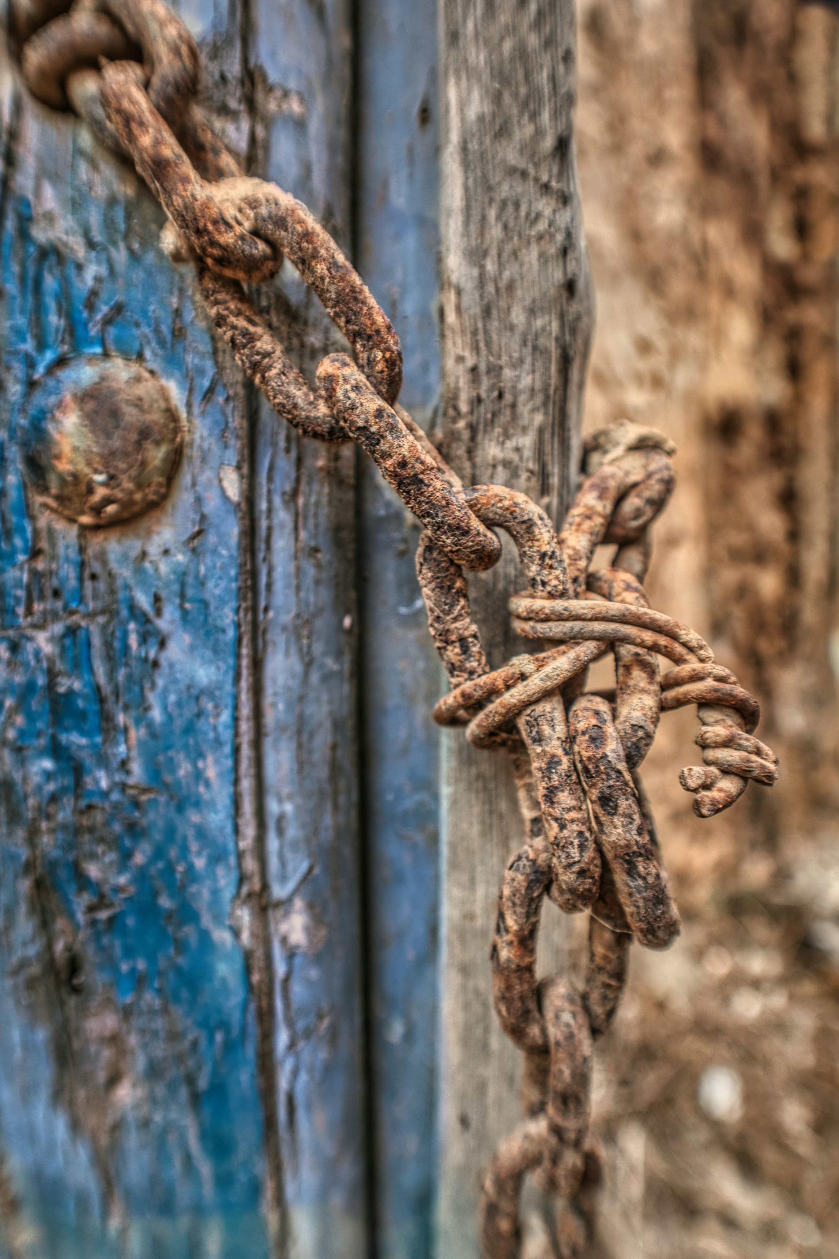 Photo by torben_gettermann