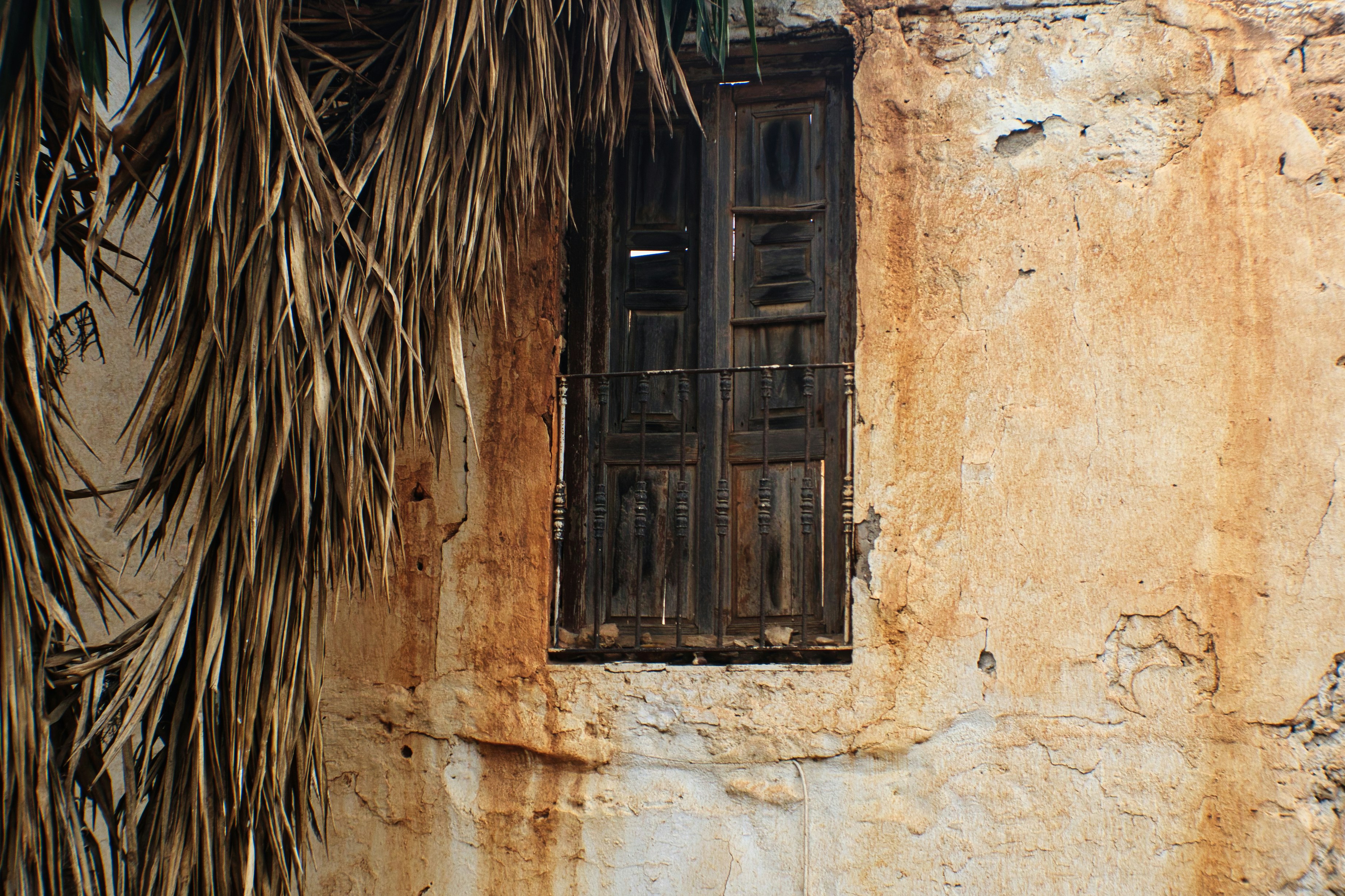 Photo by torben_gettermann