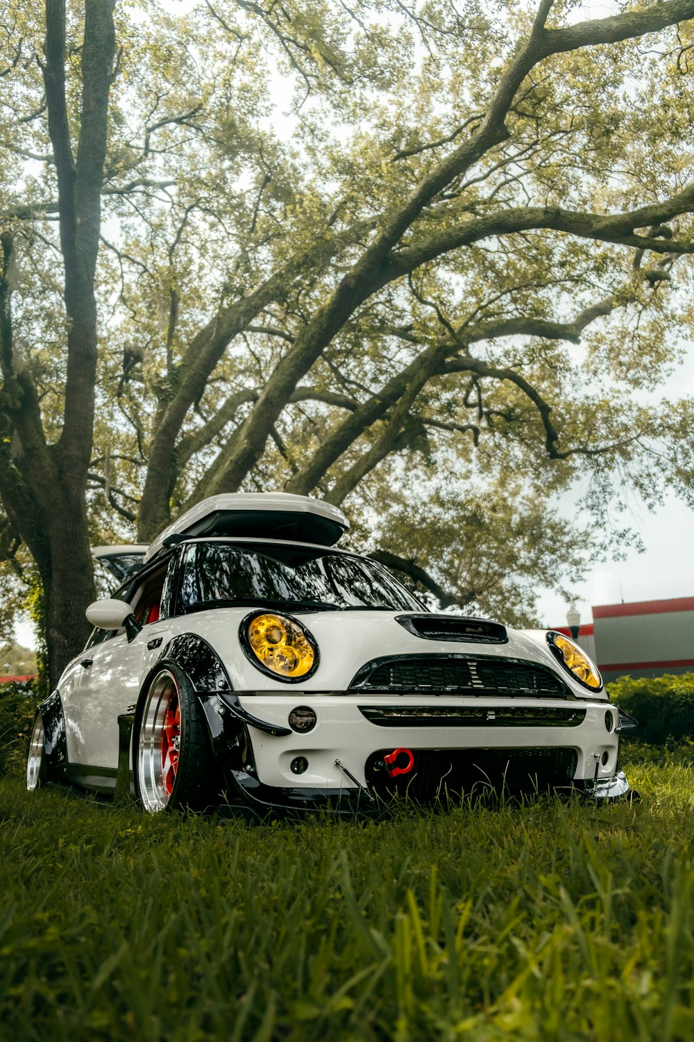 a white car parked in a grassy area with trees in the back