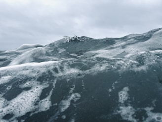 Waves with foam and bubbles rise in a turbulent ocean under an overcast sky. The texture of the water is detailed, displaying various shades of gray and blue.