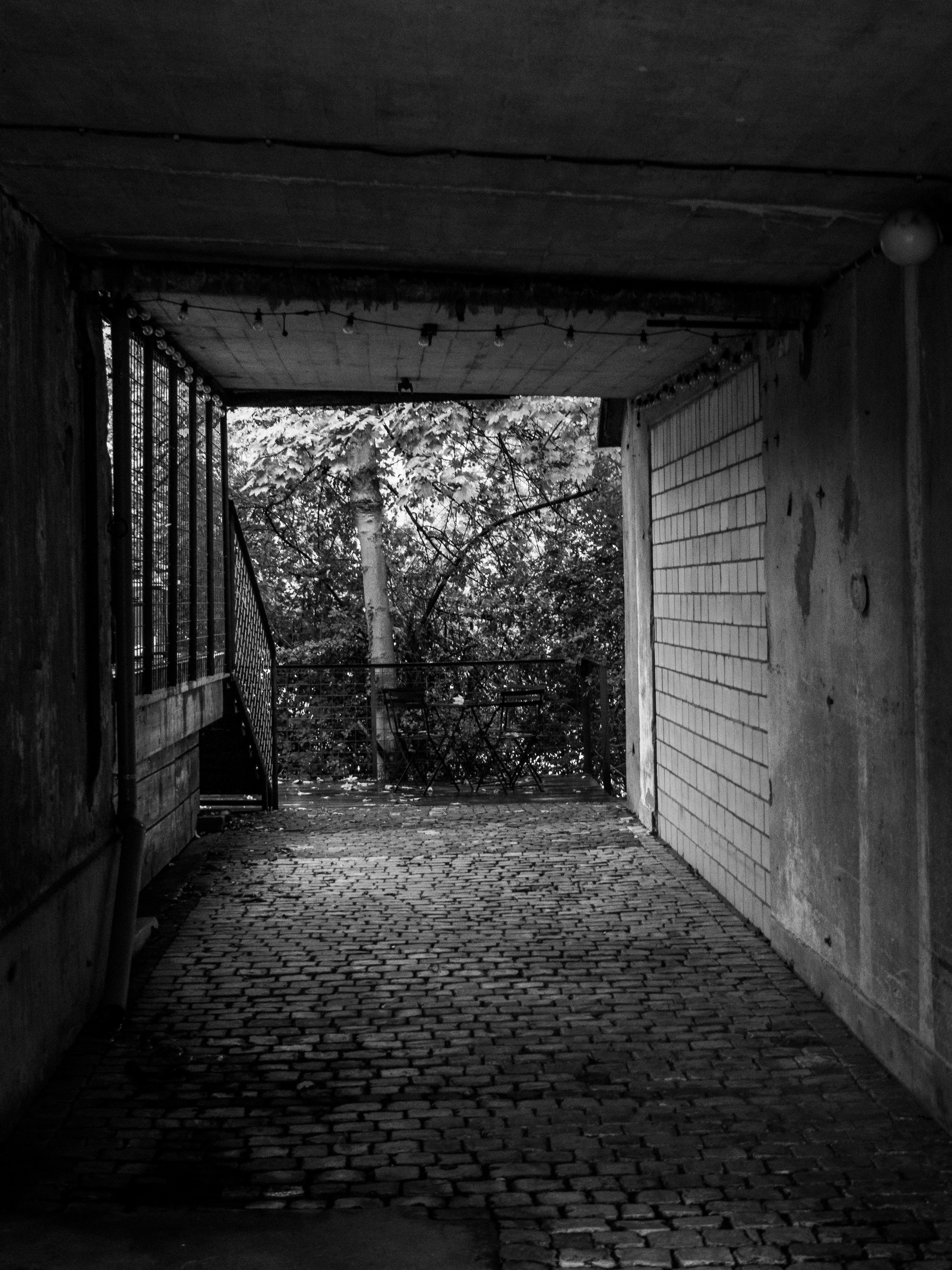 Photo by karim_fox_photography