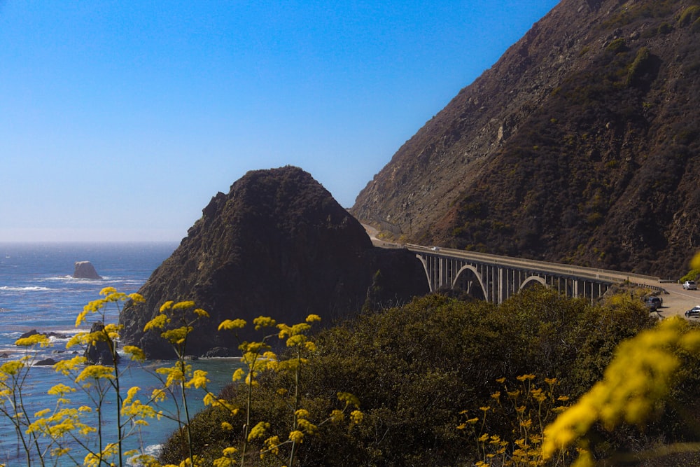 a bridge over a body of water