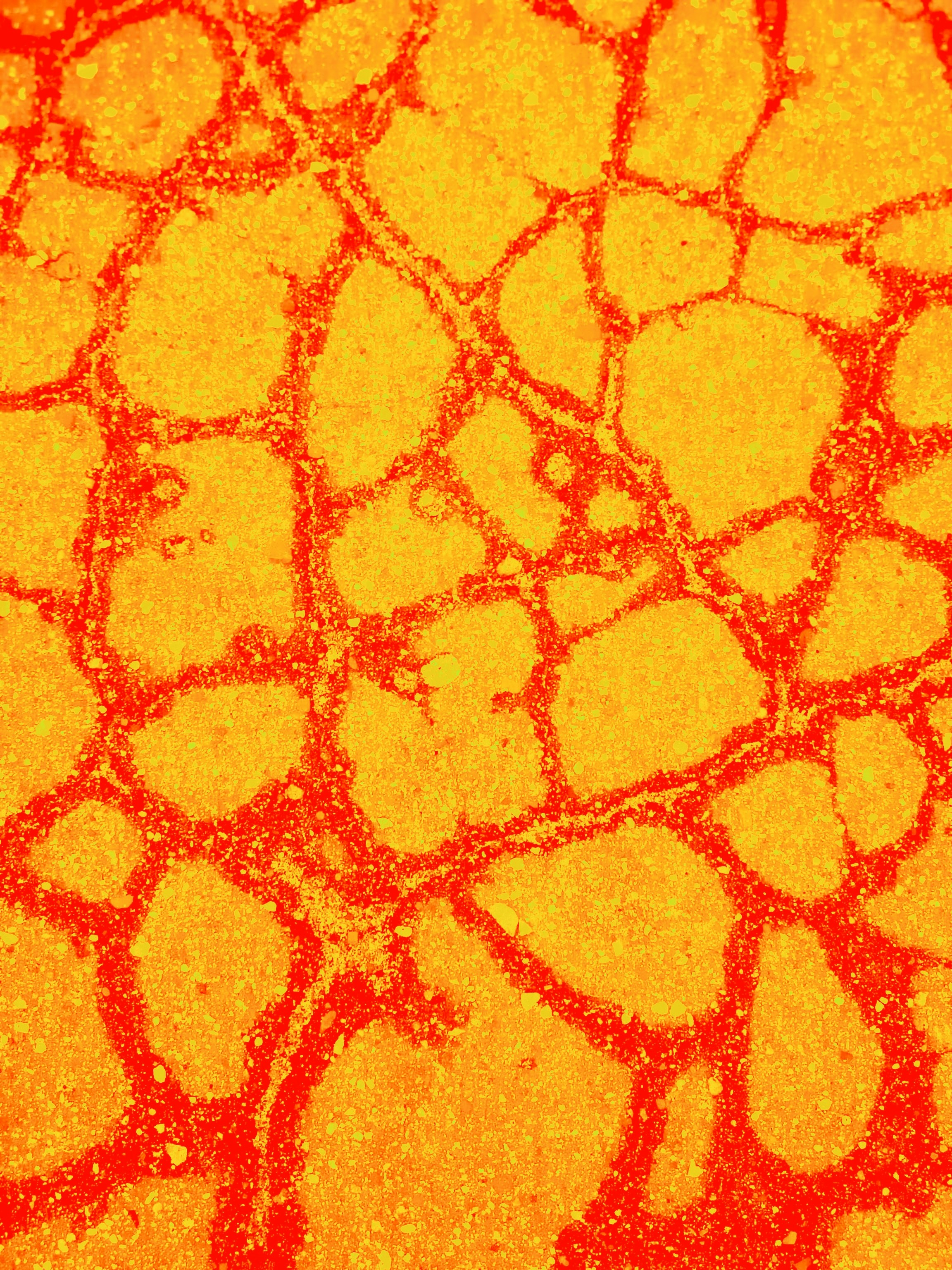 Photo by eugene_golovesov