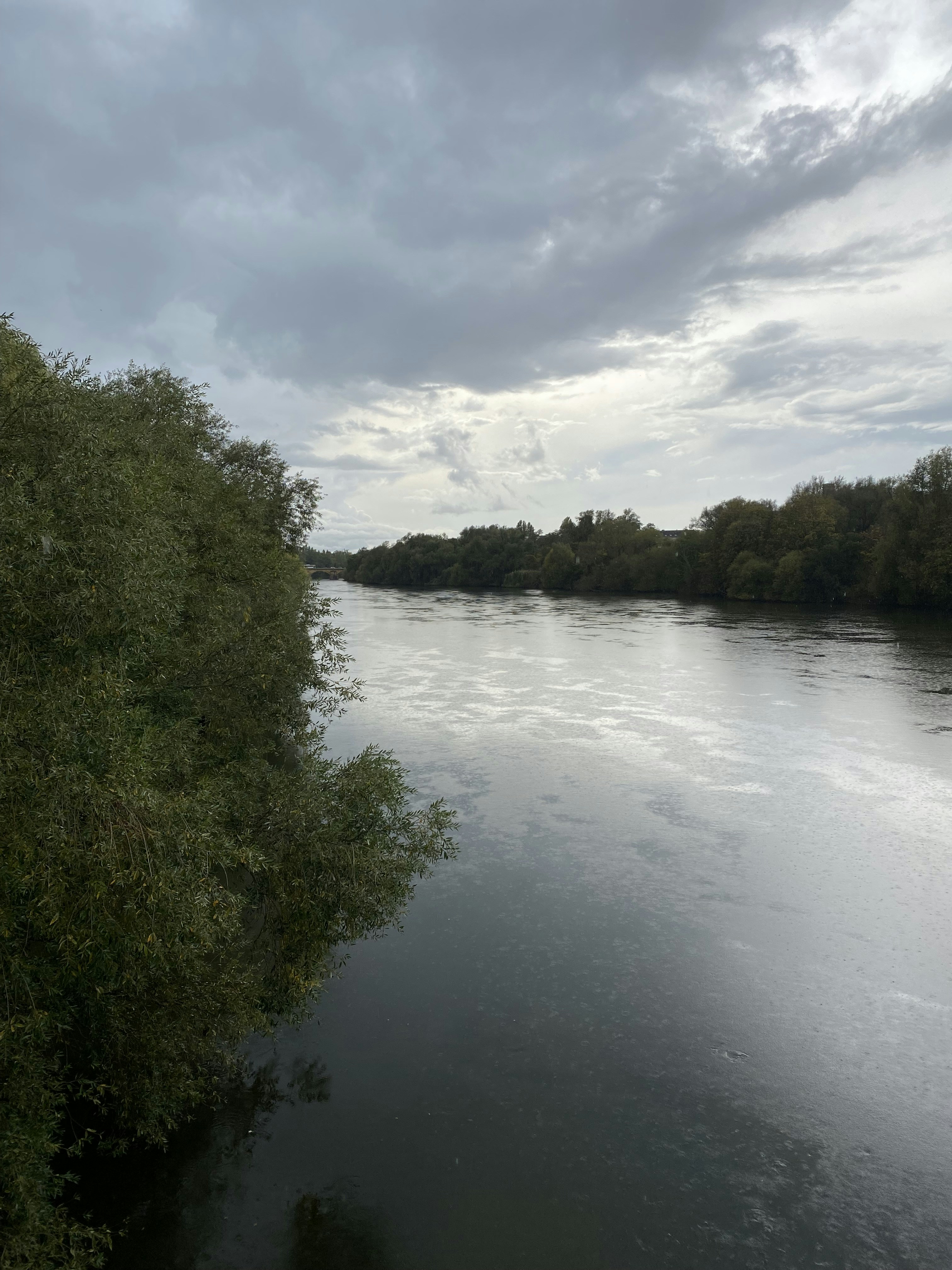 a river with trees on the side
