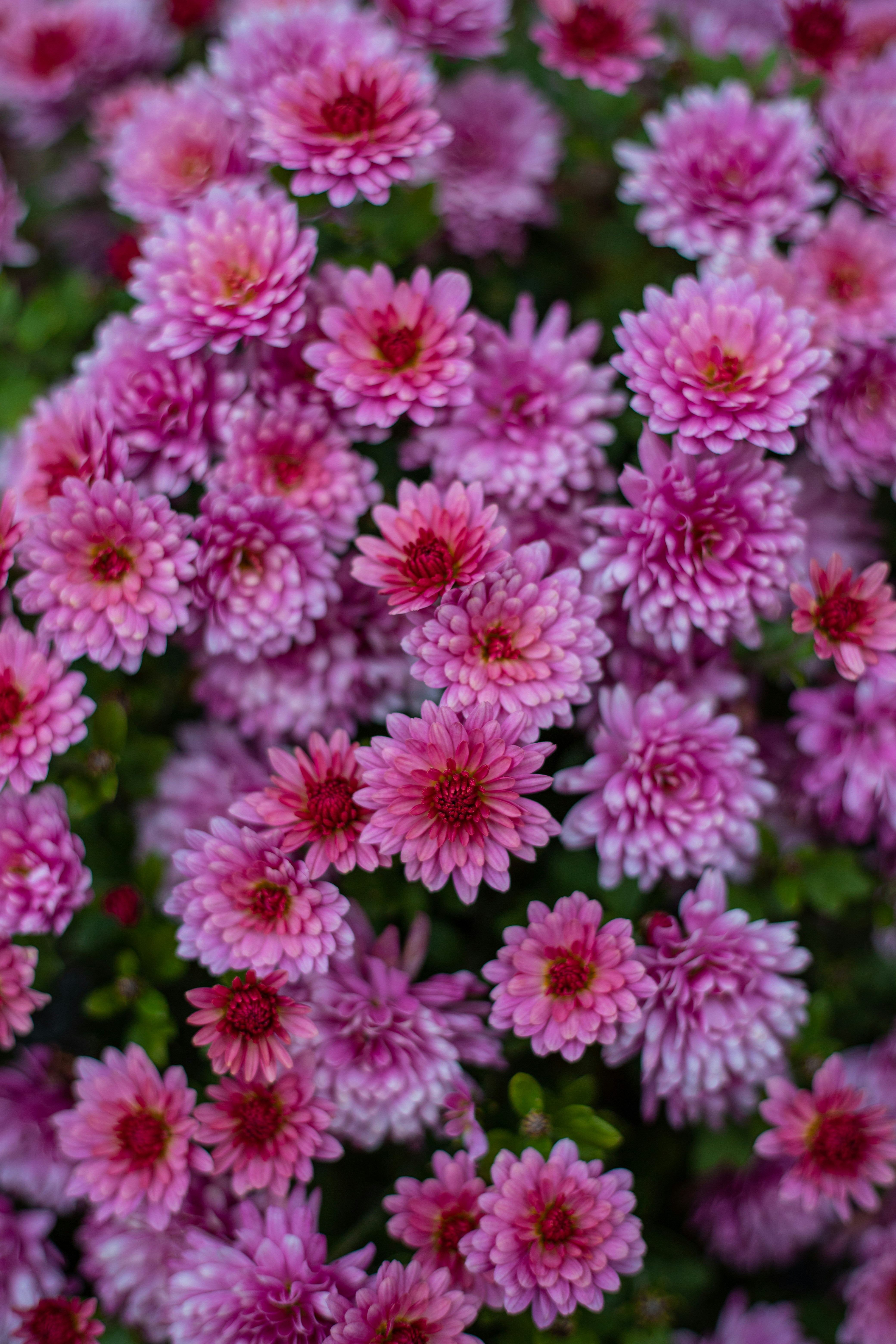 Photo by art_almighty