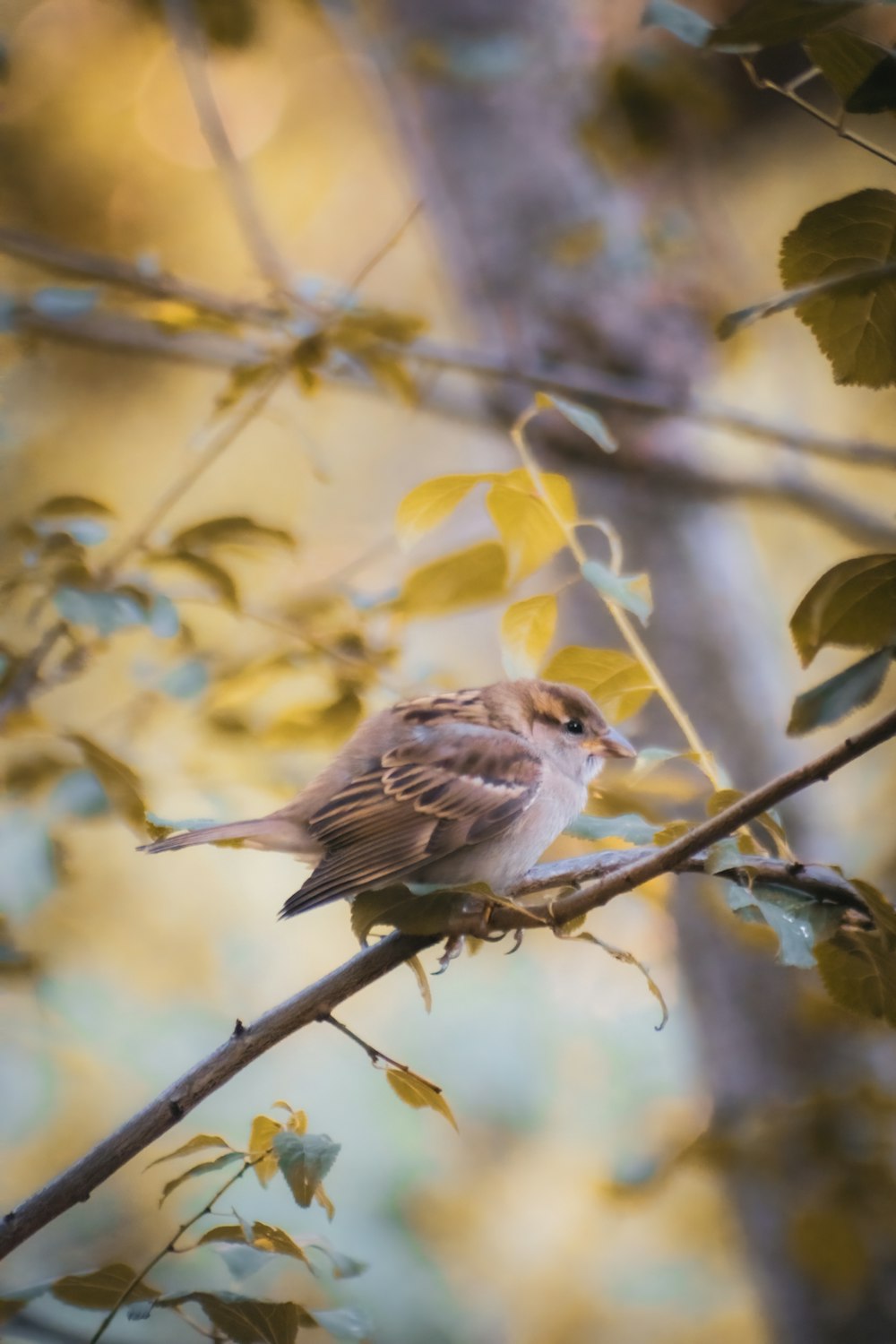 a bird perched on a branch