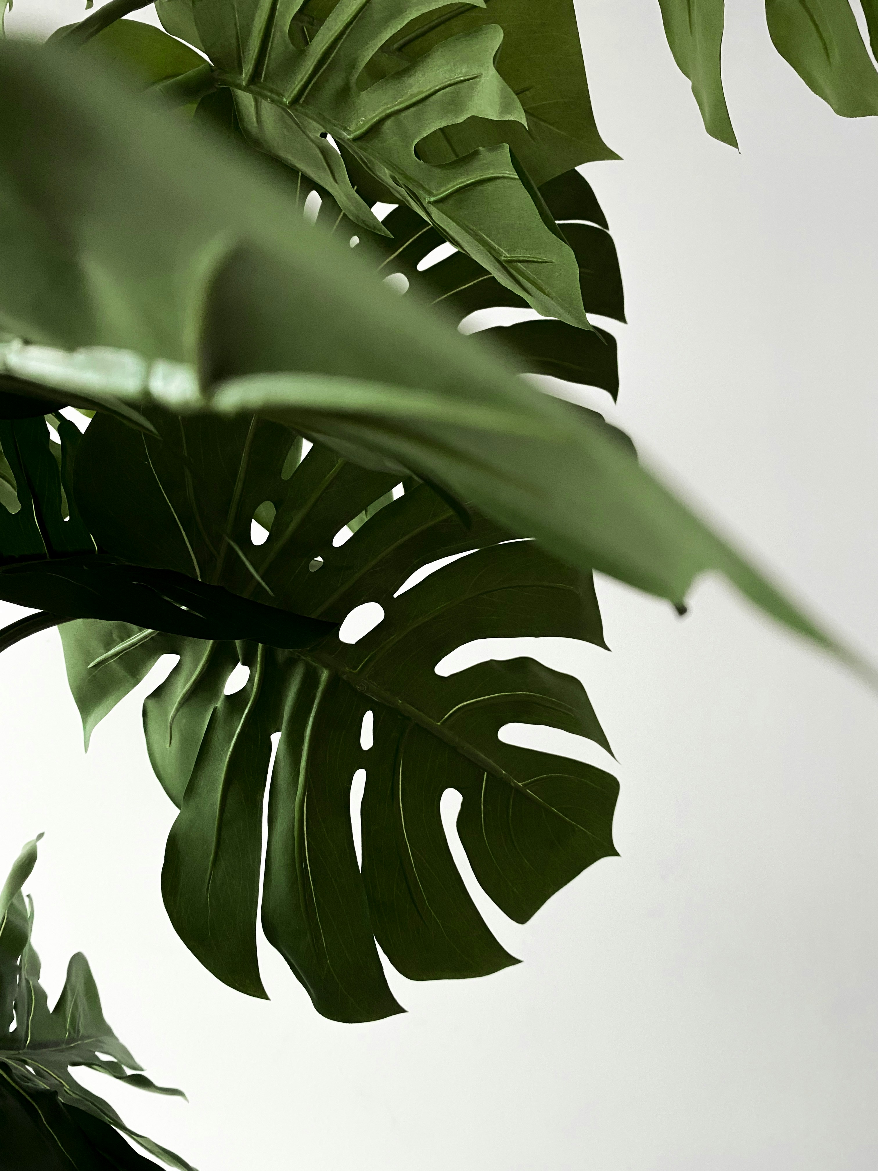 Photo by _nomadproductions