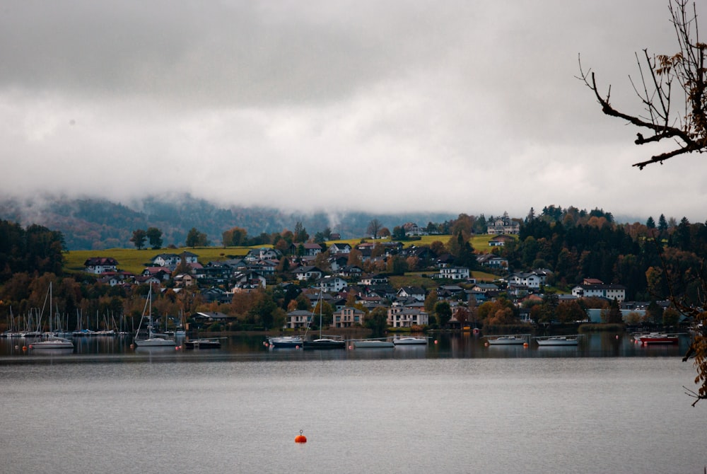 a body of water with boats and houses along it