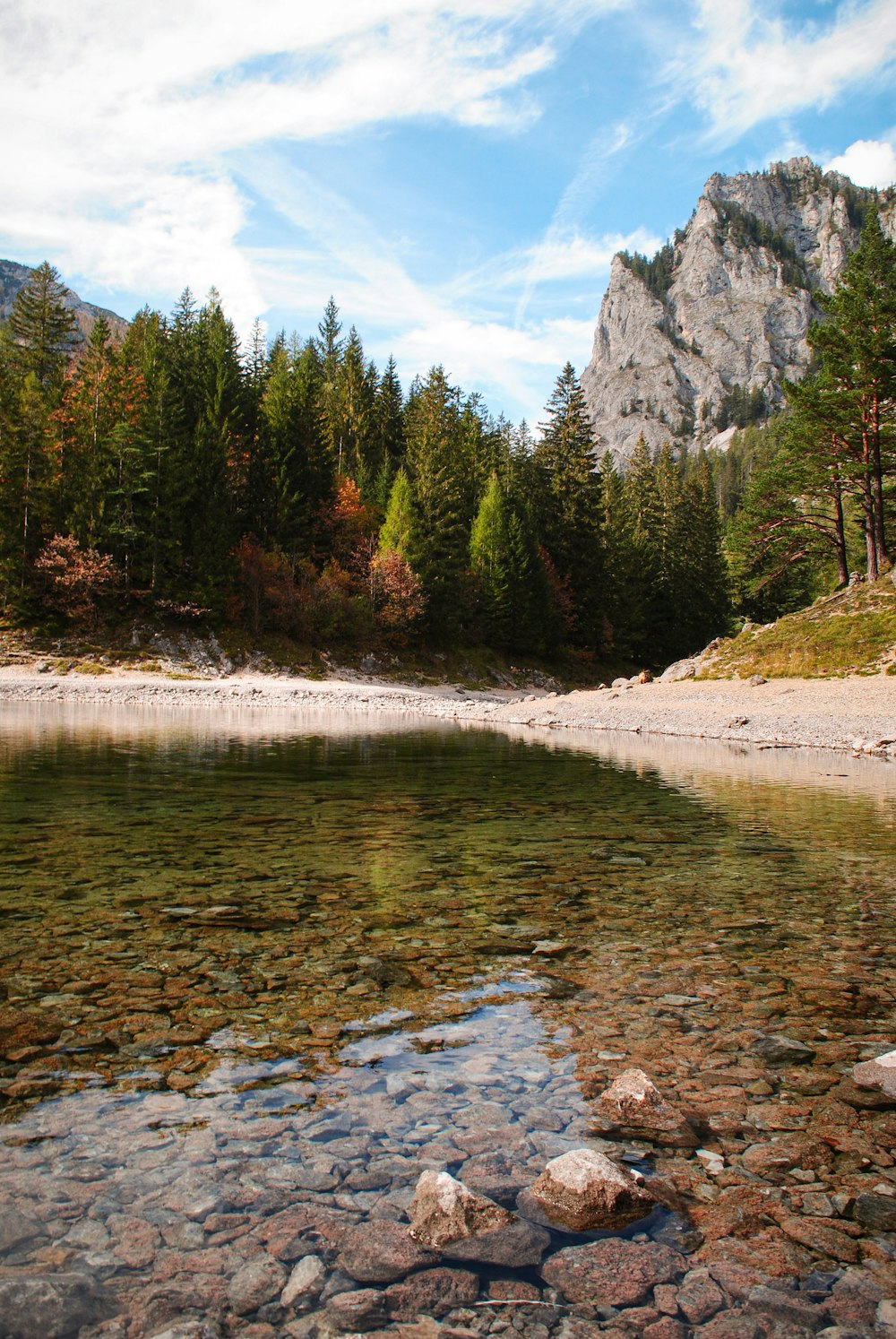 a river with rocks and trees