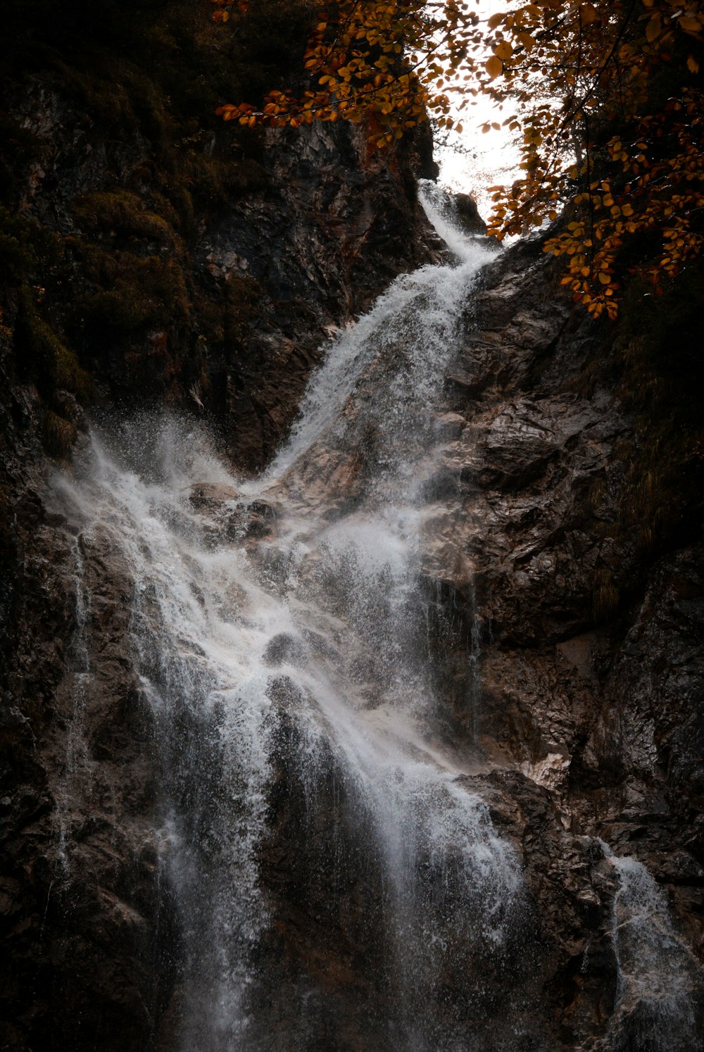 a waterfall with orange leaves