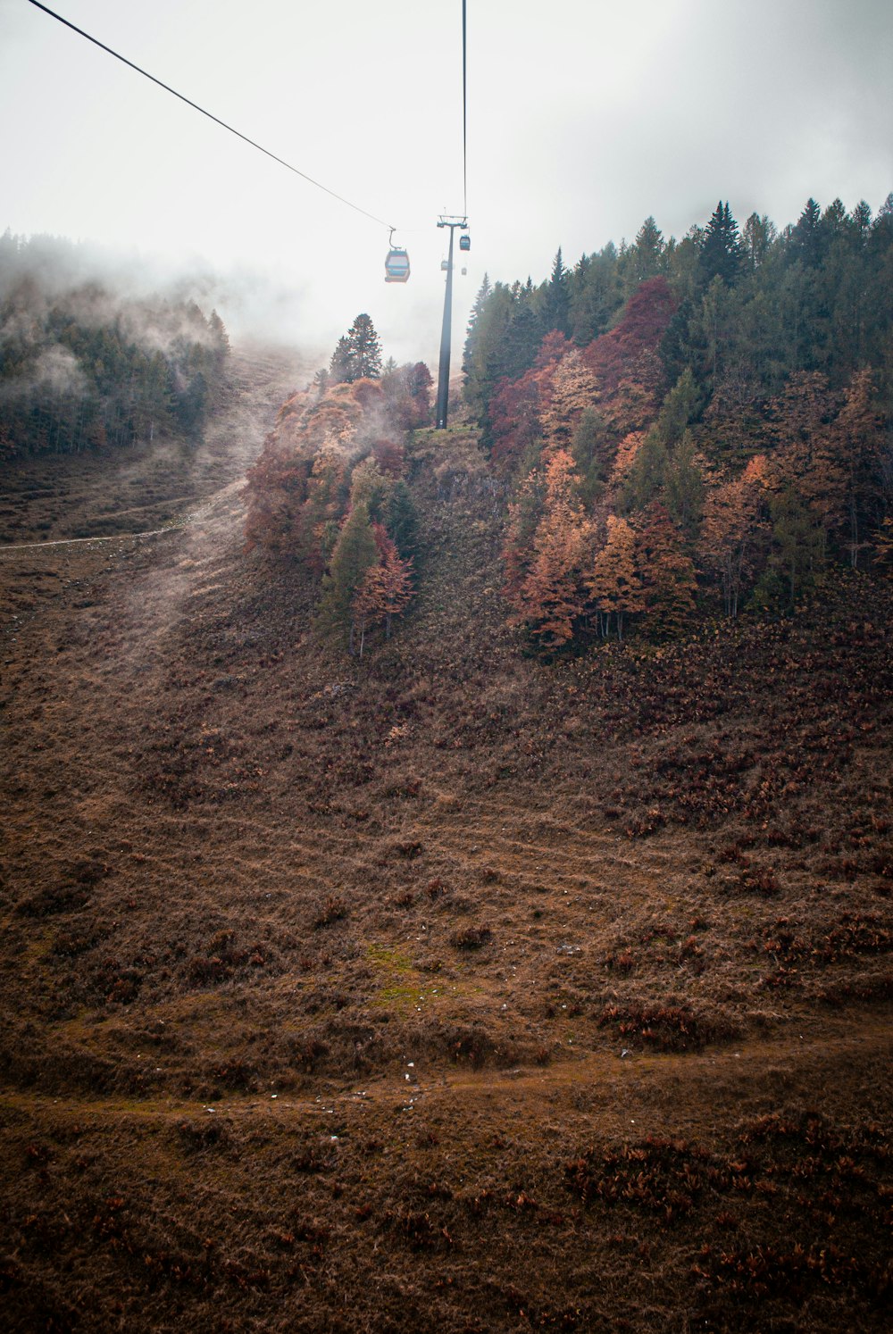 a landscape with trees and power lines