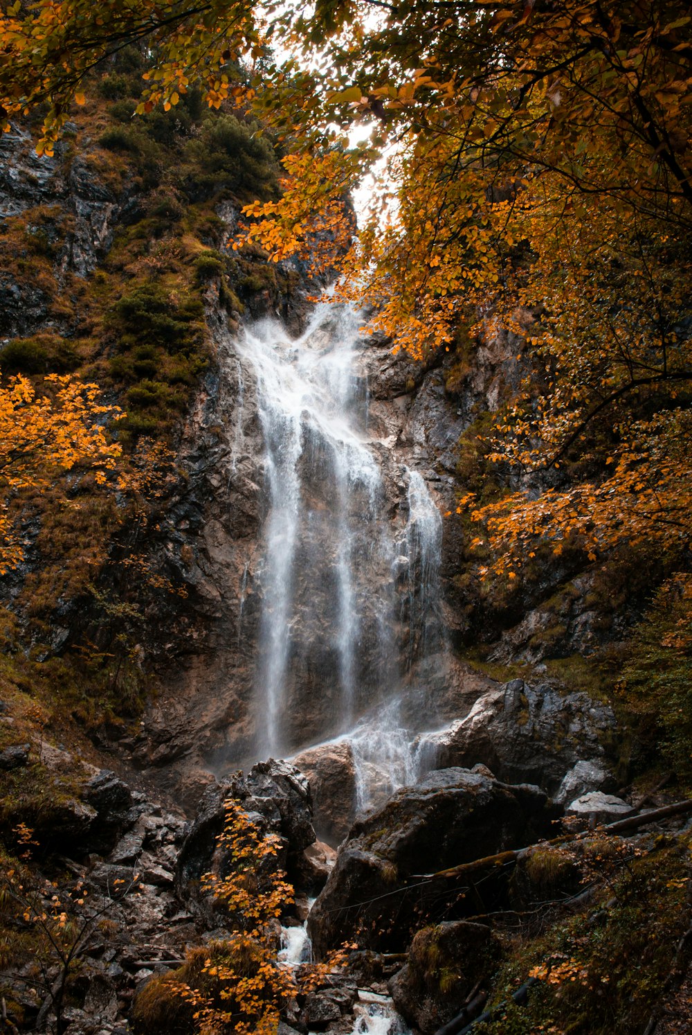 a waterfall in a forest