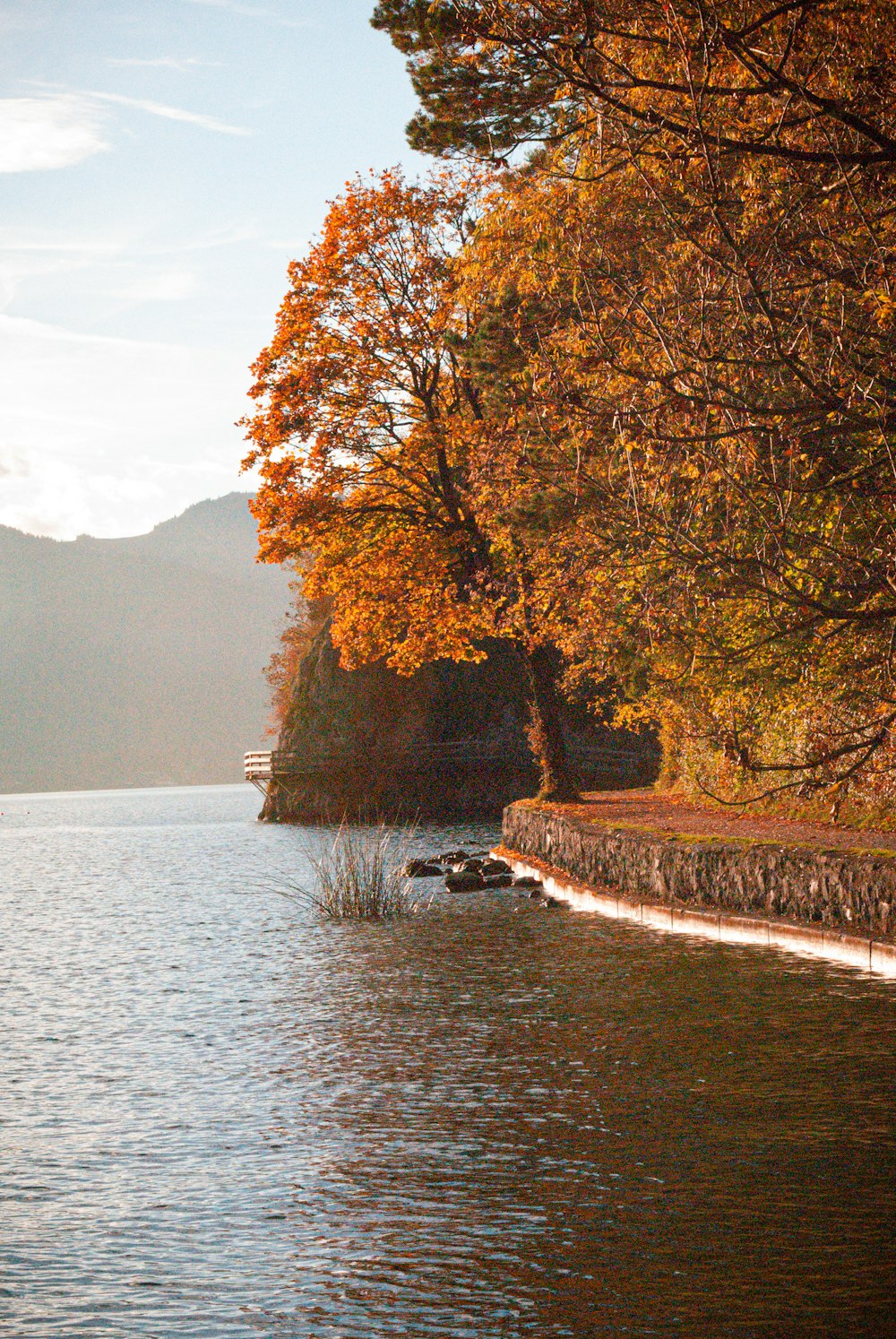 a body of water with trees on the side