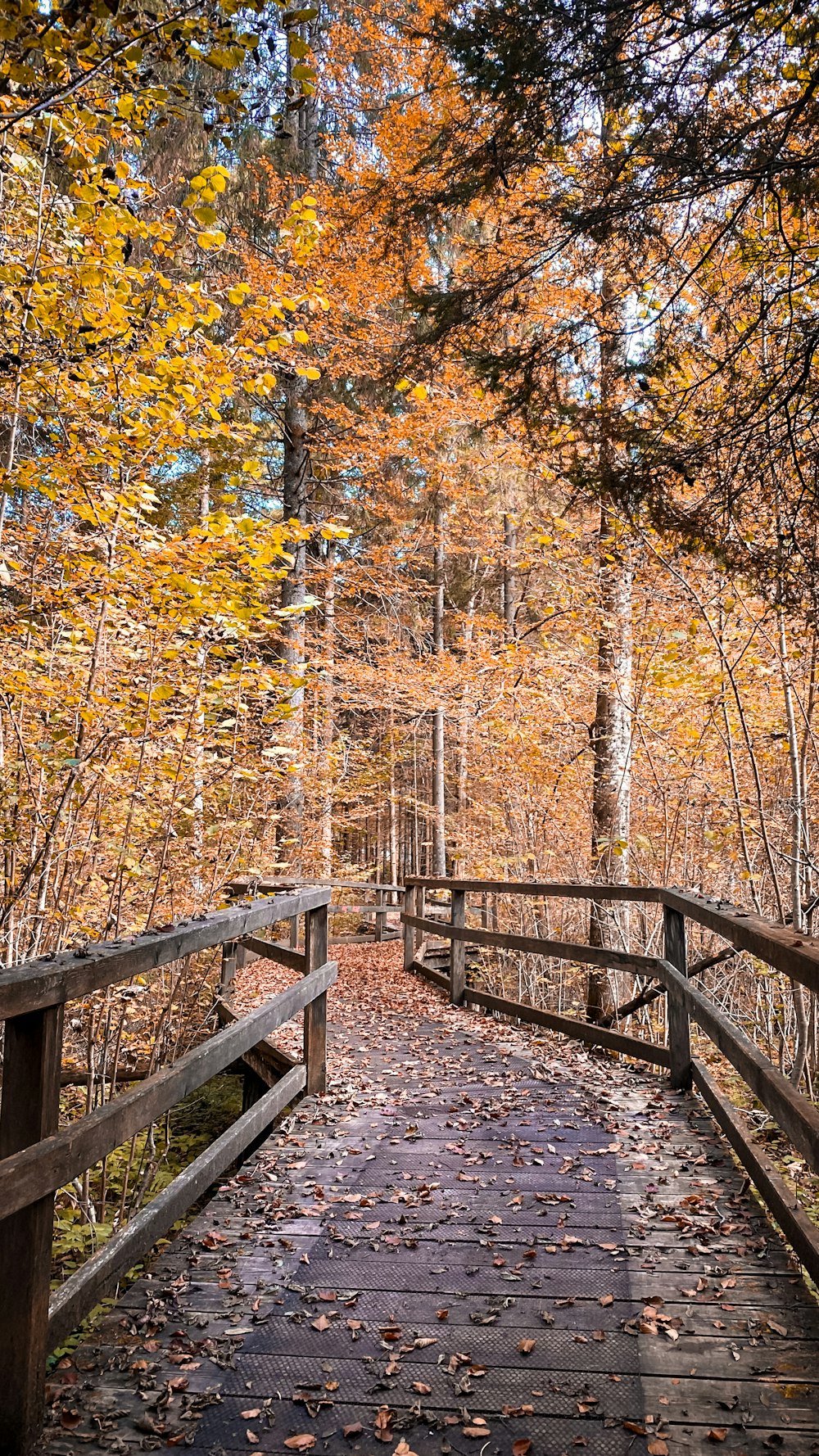 eine Holzbrücke mit Bäumen auf beiden Seiten