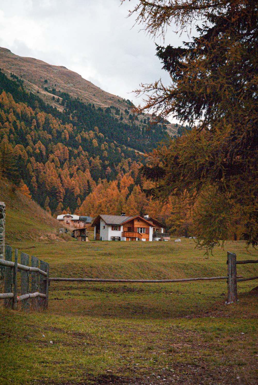 a house in a grassy field with trees and mountains in the background