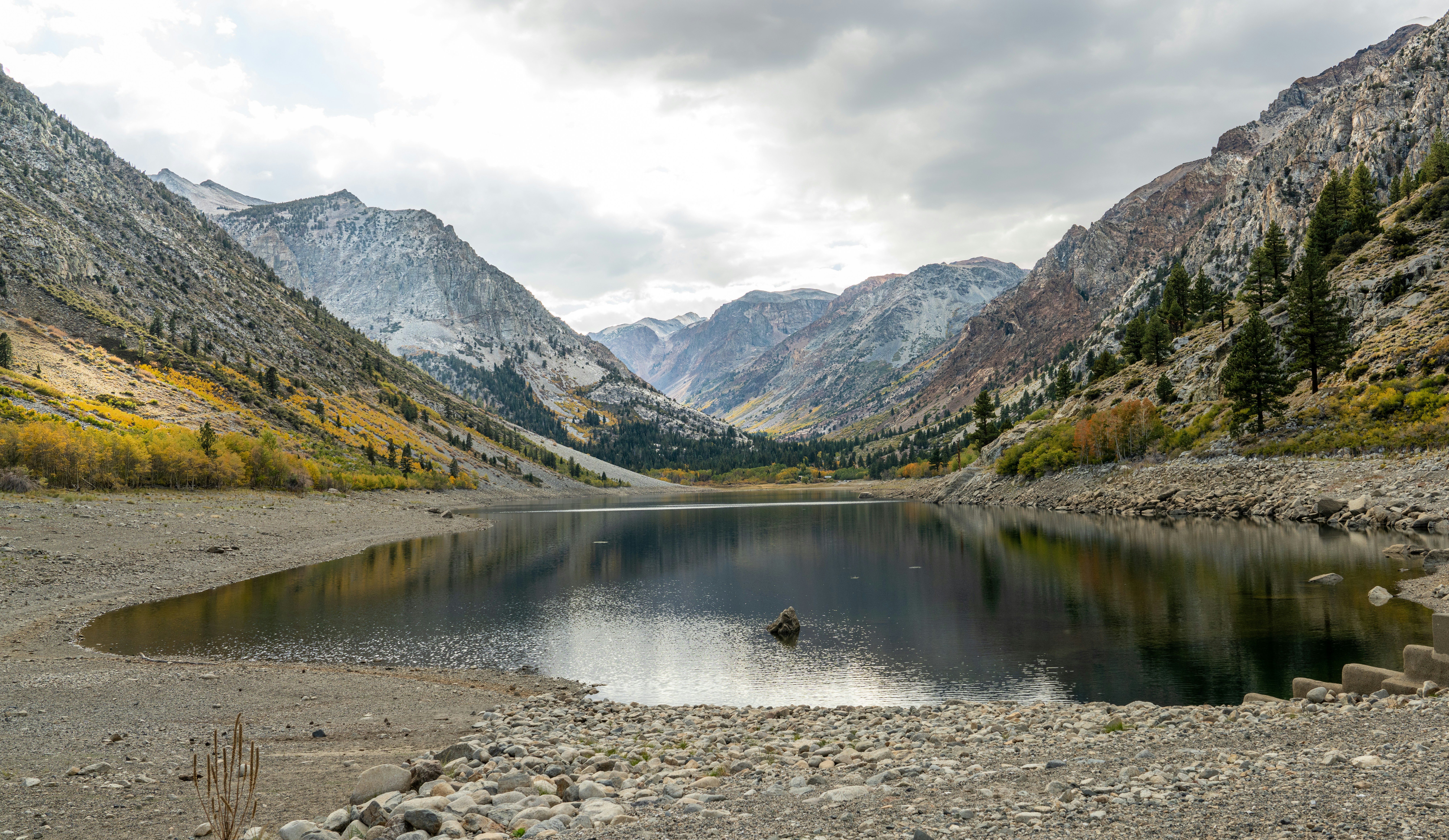 Photo by happy_pixel