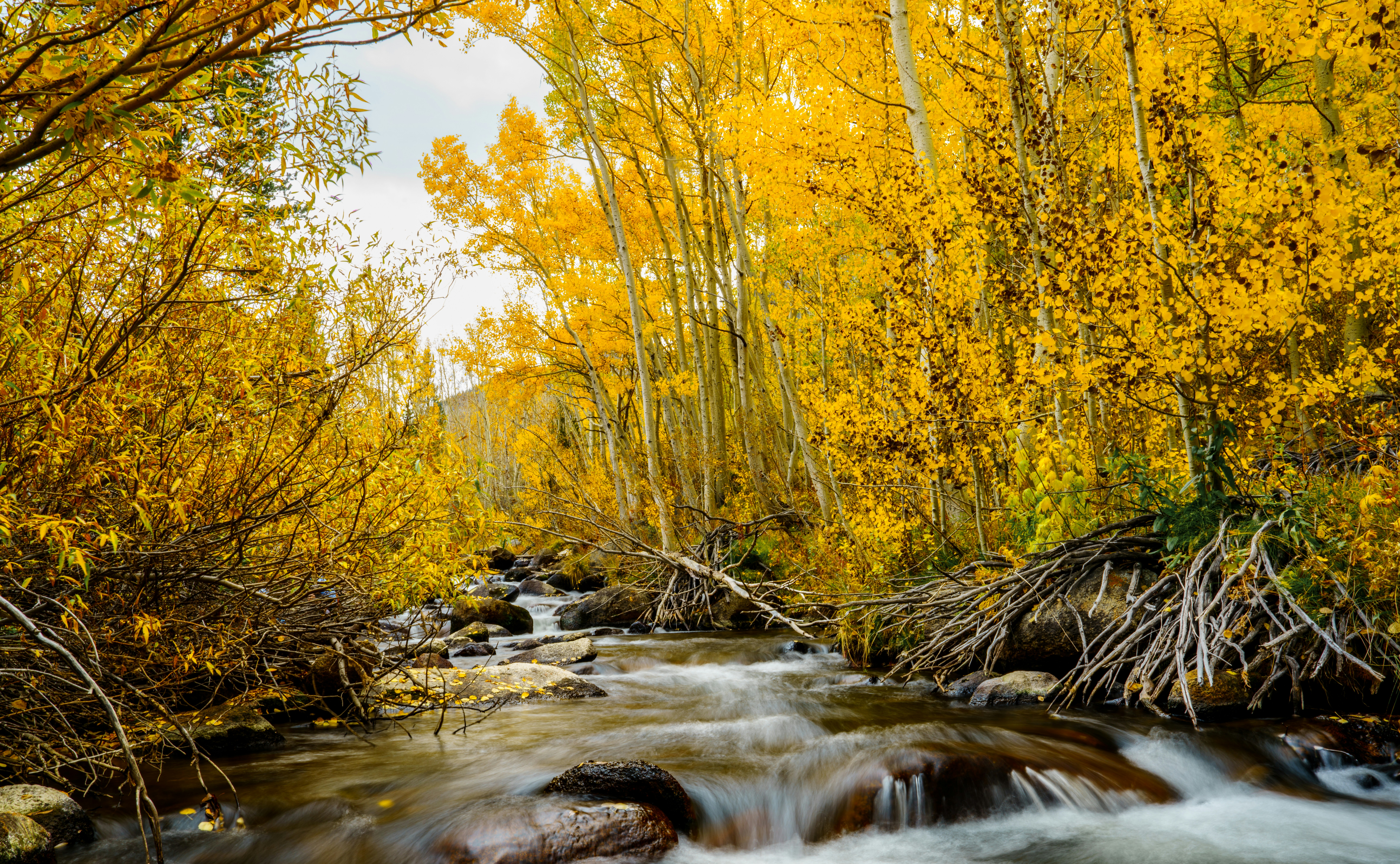 Photo by happy_pixel