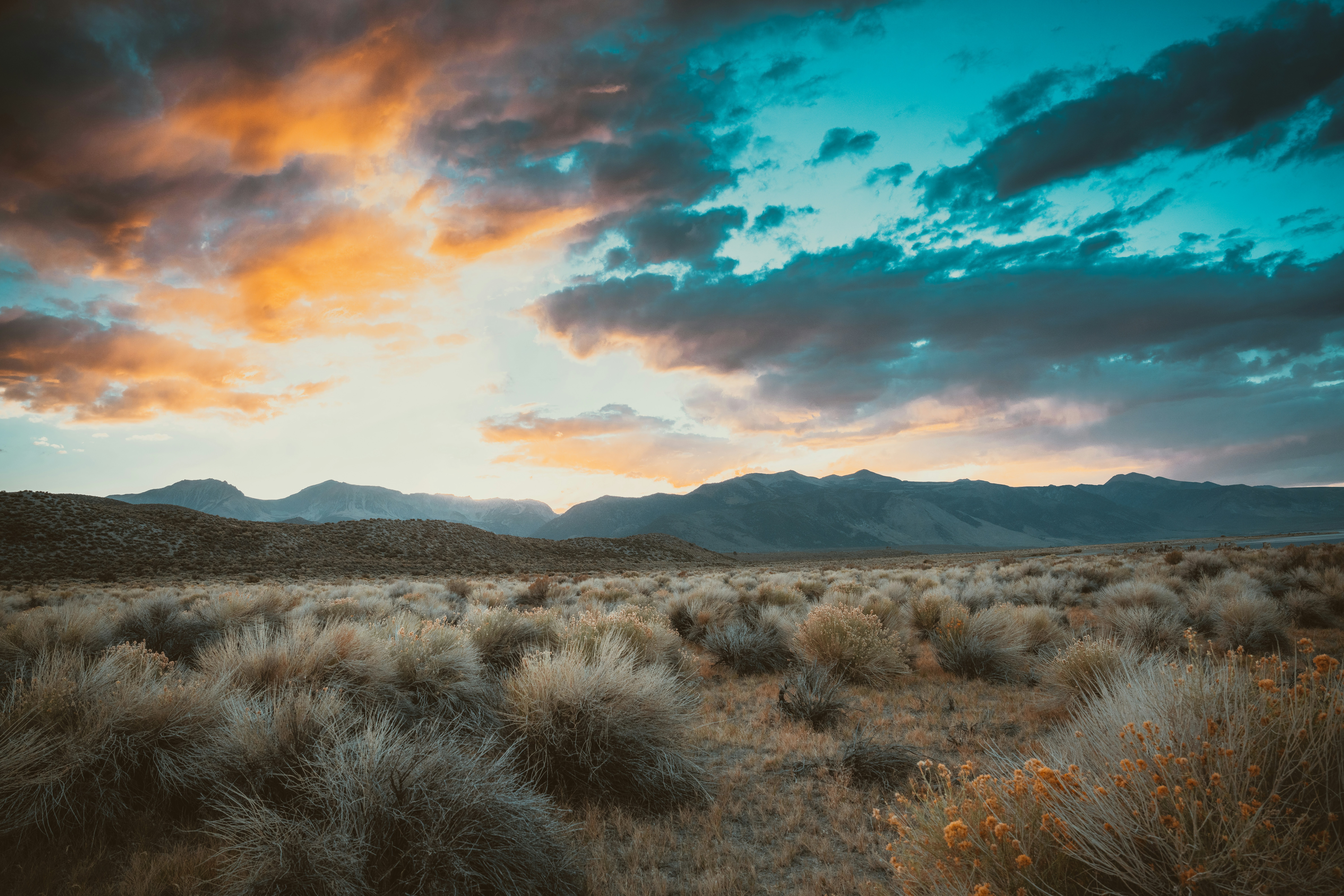 Photo by happy_pixel