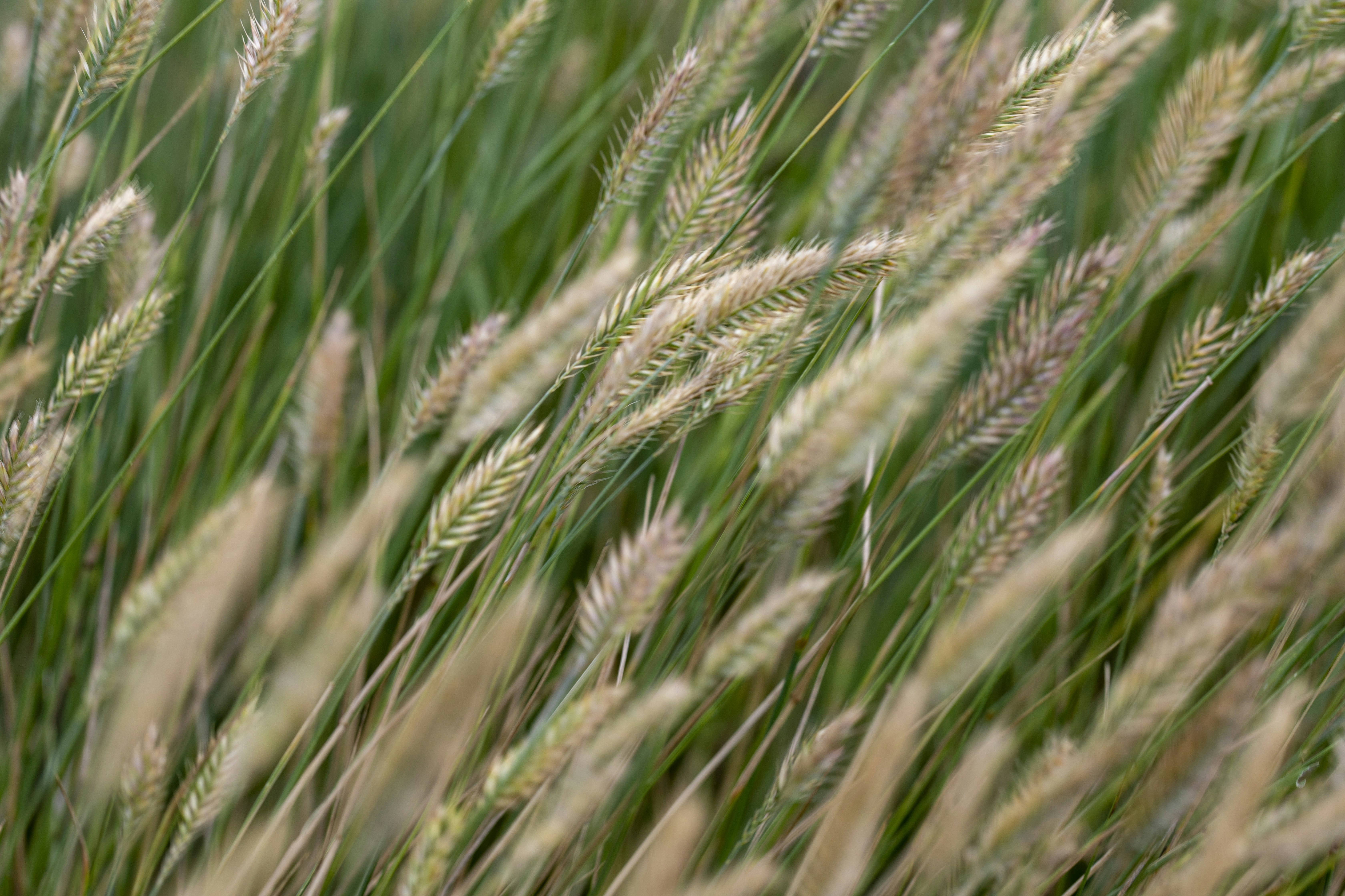 Photo by rocinante_11