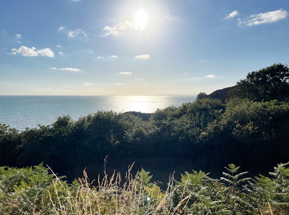 a view of the ocean from a hill