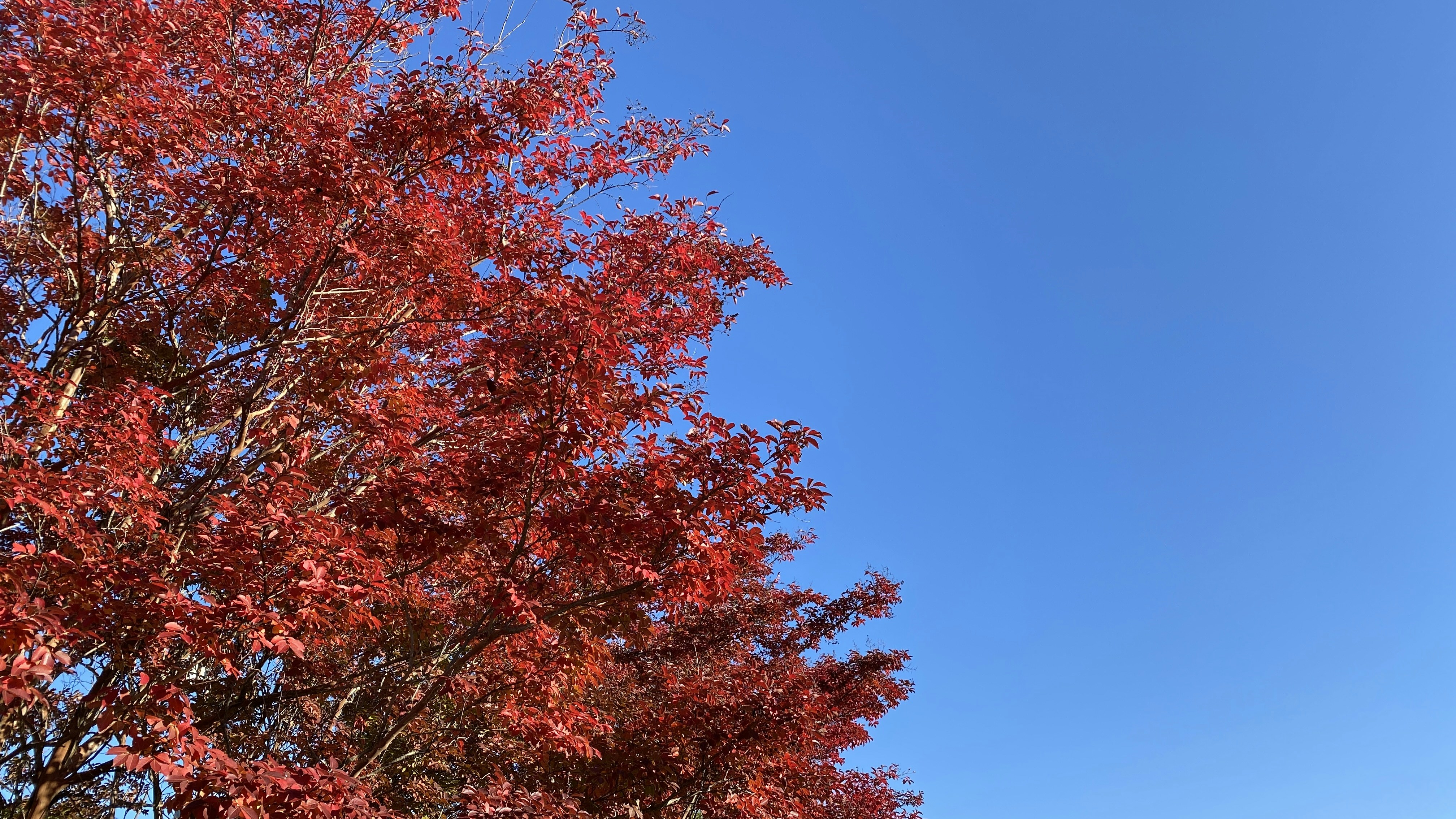 Photo by mike_romeo_hotel