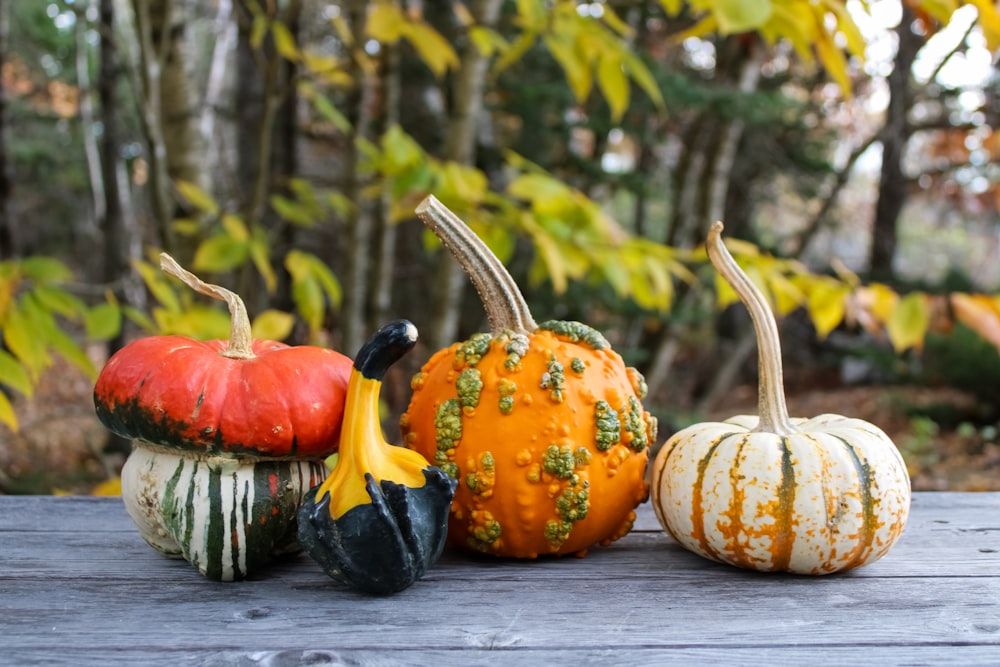 a group of pumpkins with fruit on them
