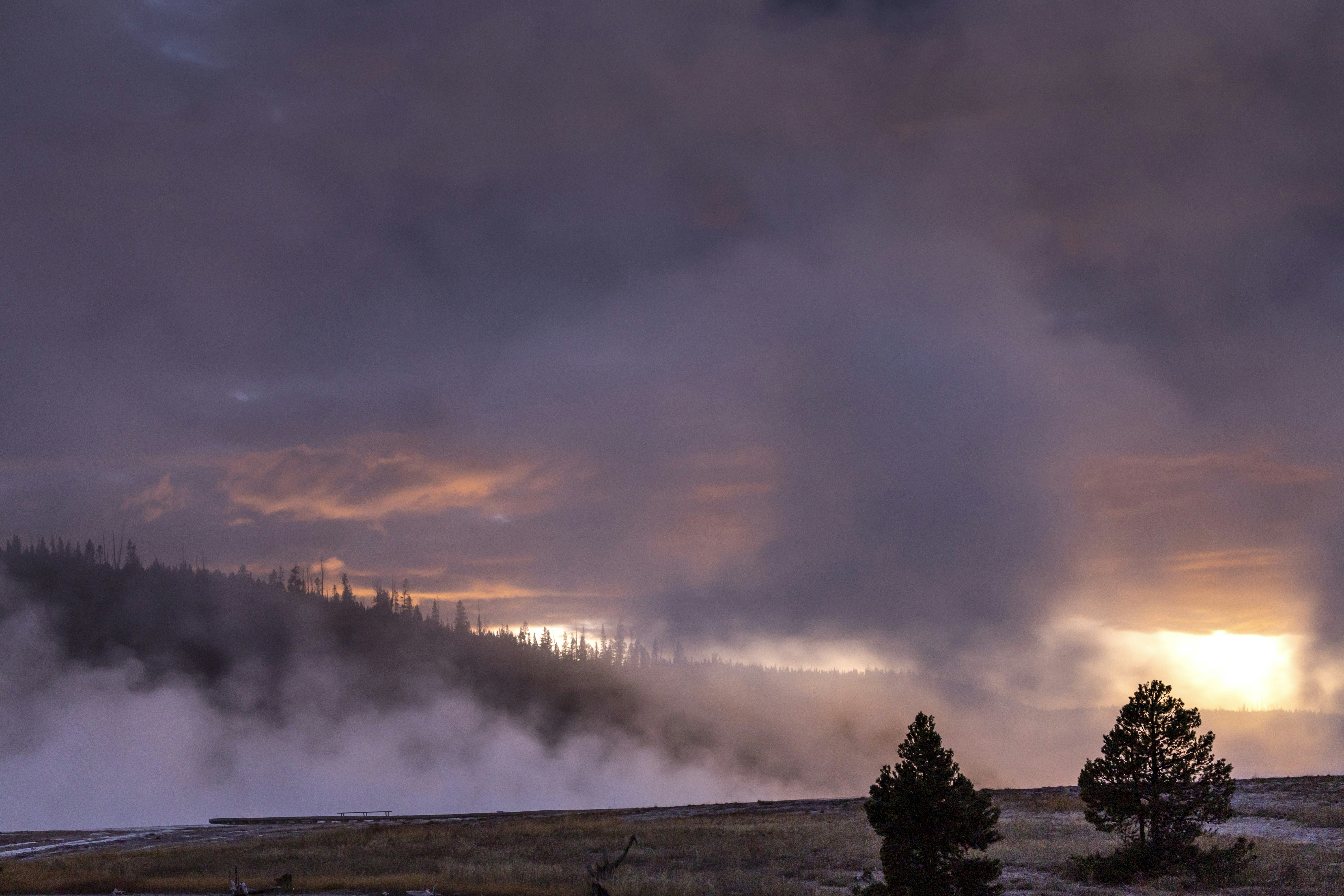 Photo by leo_visions_