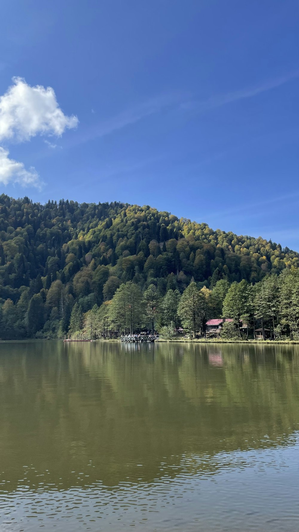 a body of water with trees and a hill in the background