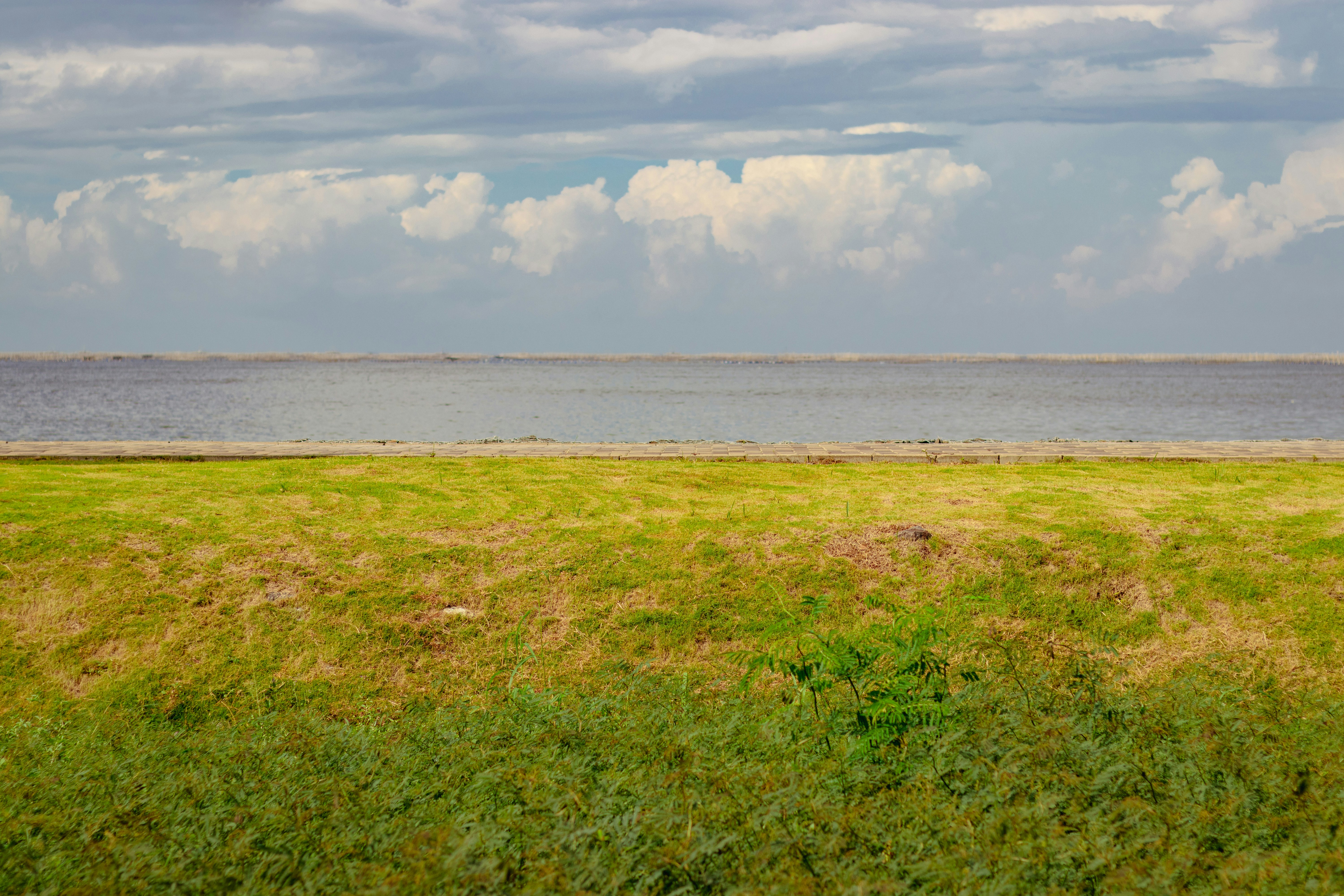 Photo by jeremianathanael_